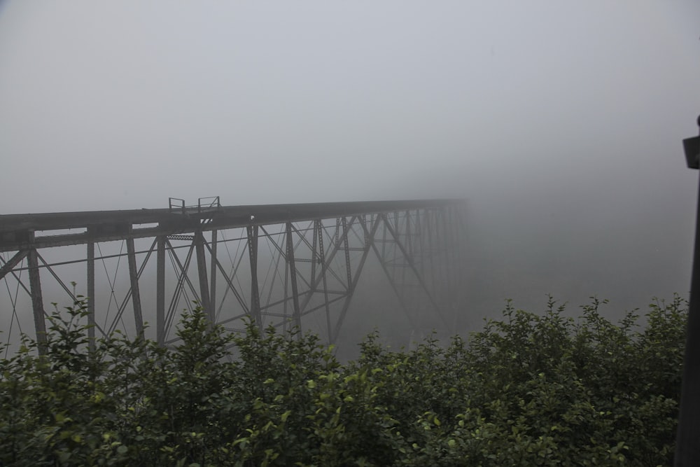 a bridge in the fog on a foggy day