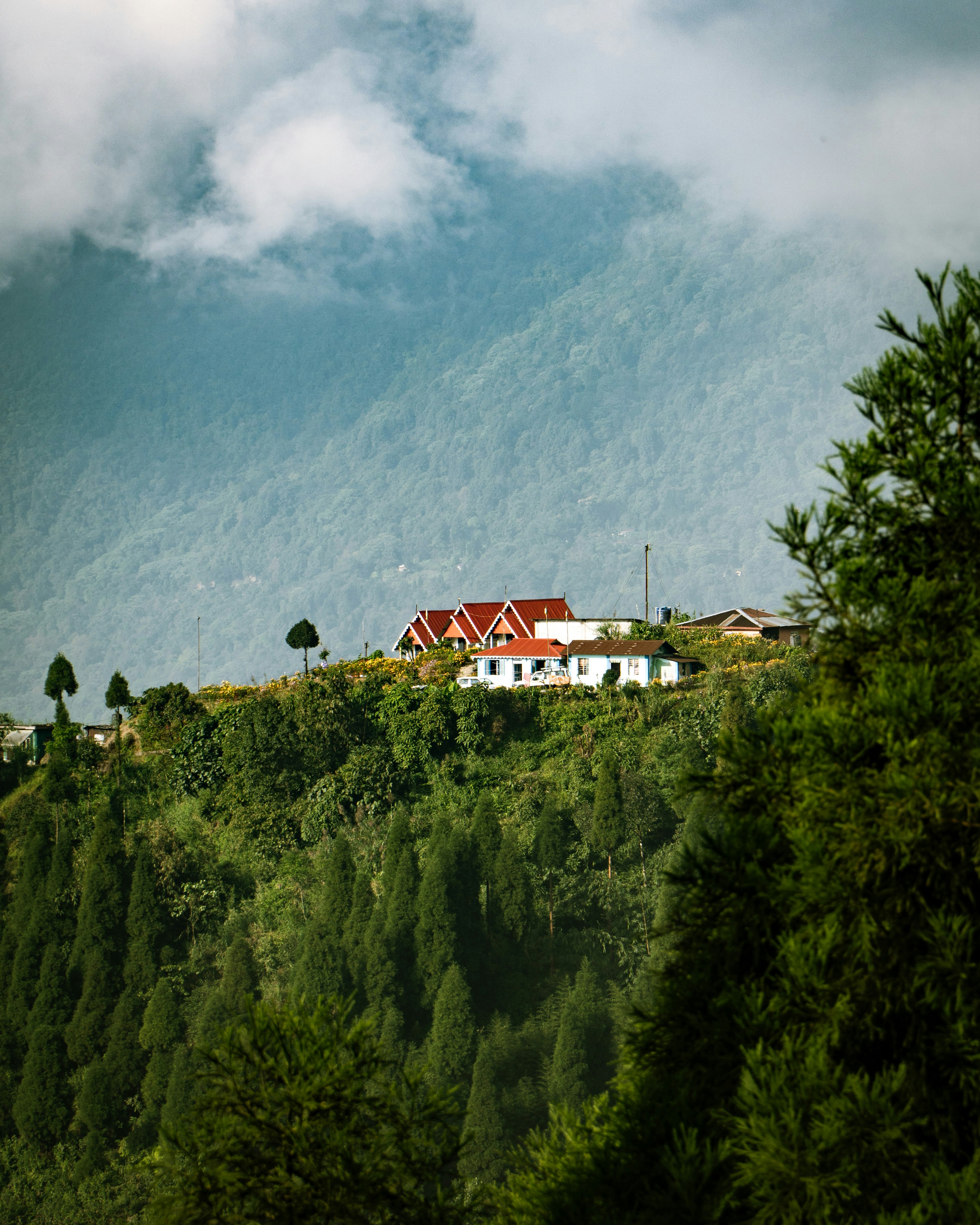 black and white bed linen