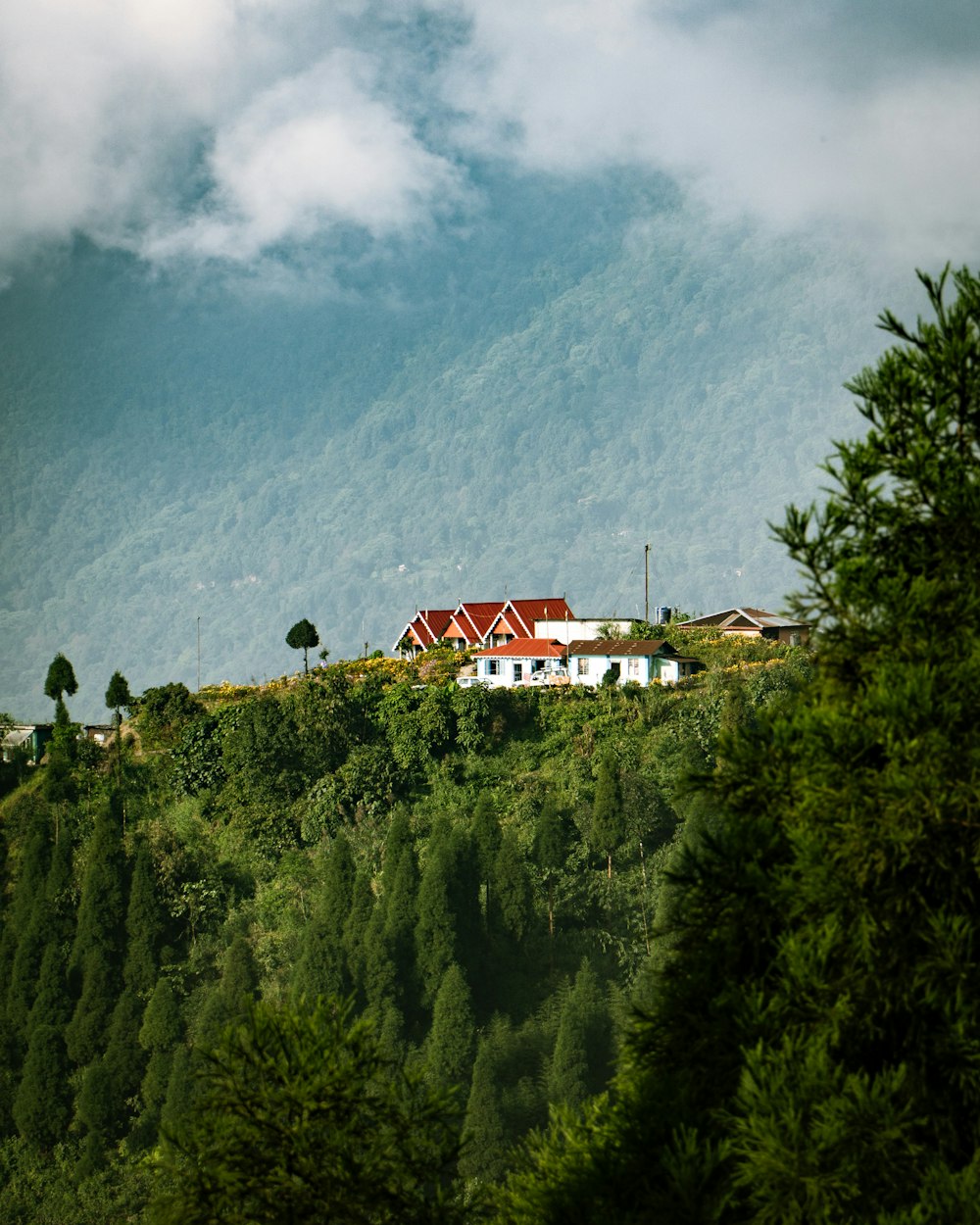 a house sitting on top of a lush green hillside