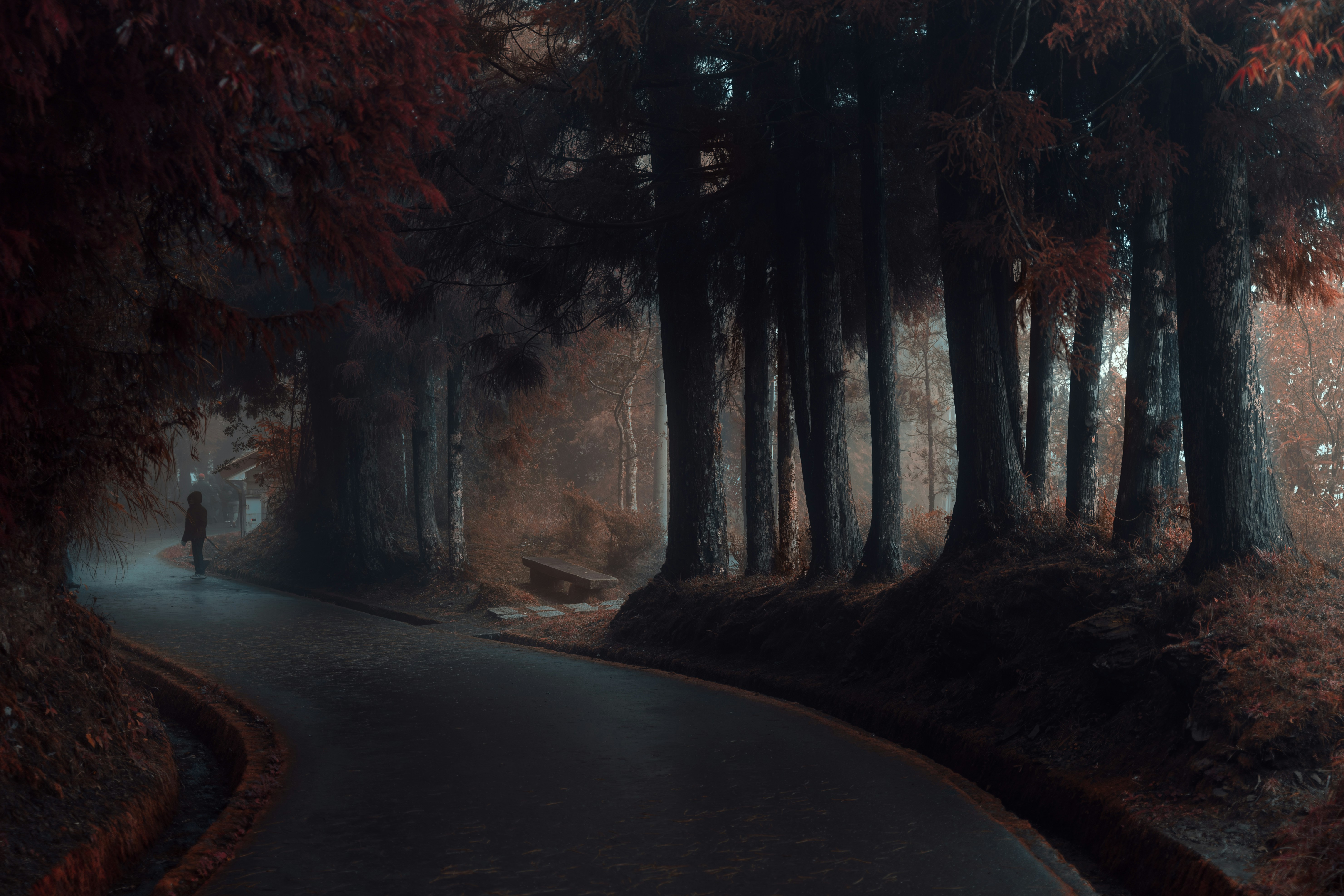 When the Road Curves: Why Your Detours Are Actually the Story