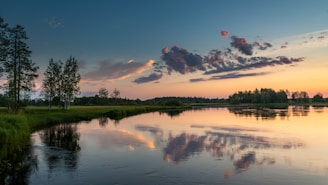 A serene landscape with young trees growing along a peaceful riverbank at sunset.