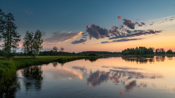 A serene landscape with young trees growing along a peaceful riverbank at sunset.