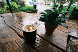 An outdoor cafeteria table with greenery in the background and a coffee cup on it