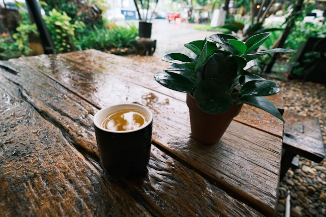 An outdoor cafeteria table with greenery in the background and a coffee cup on it
