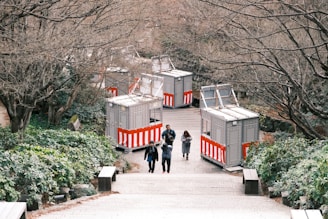 Outdoor garden path lined with Canadian flags and winter foliage.