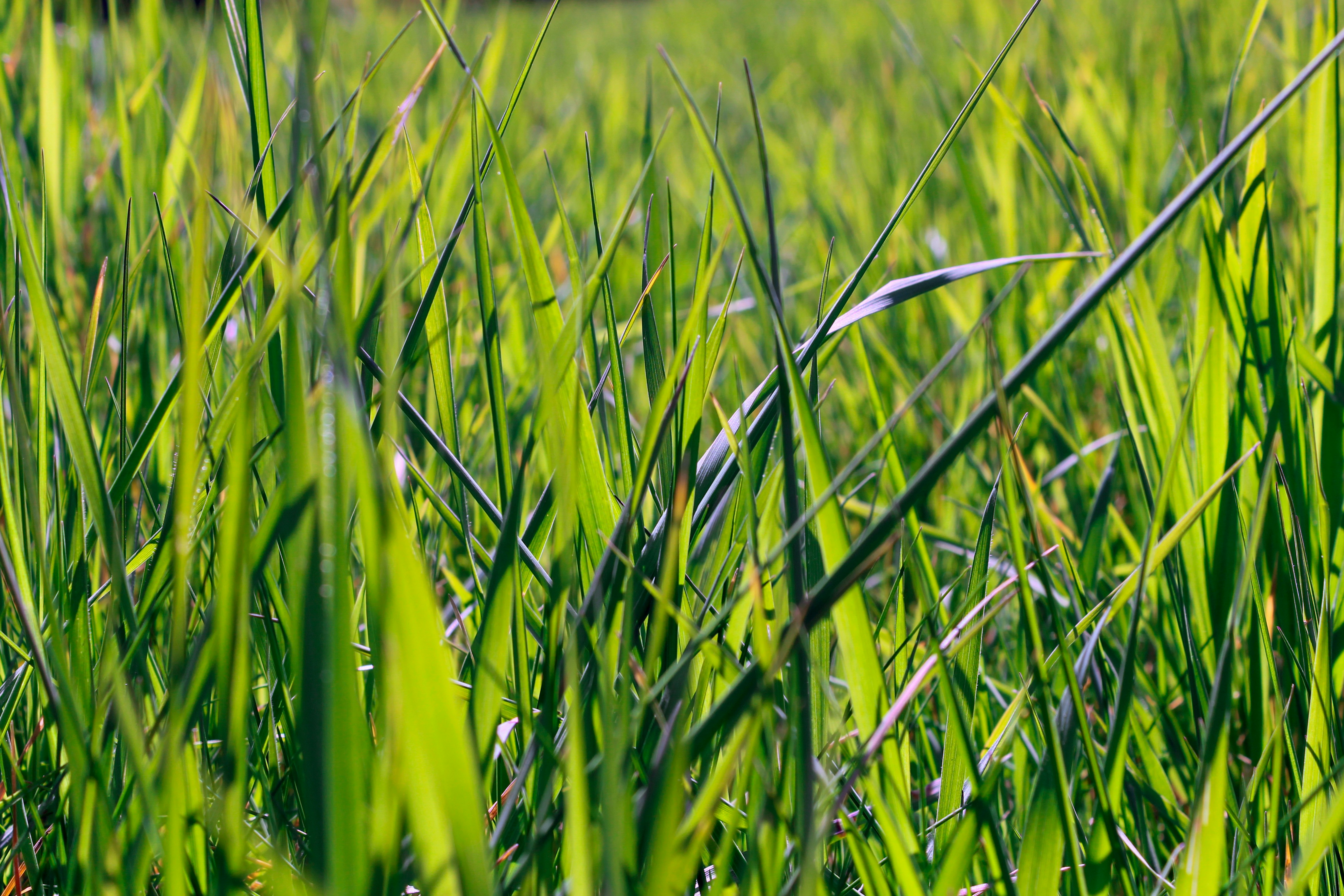 Photo by etrephotography