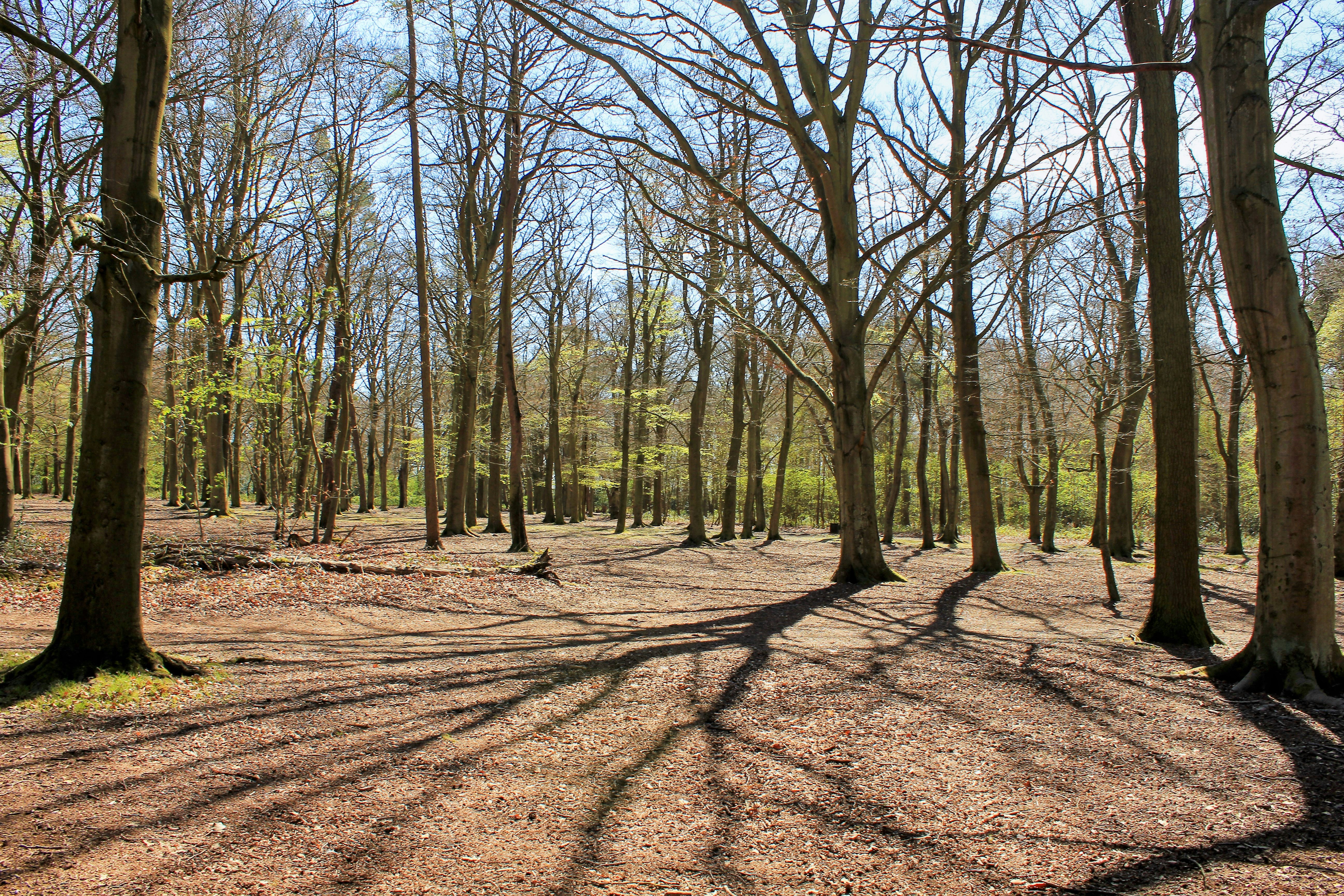 Photo by etrephotography