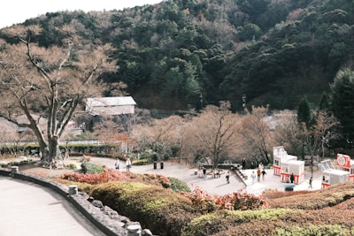A scenic view of a local park after a tree planting event.