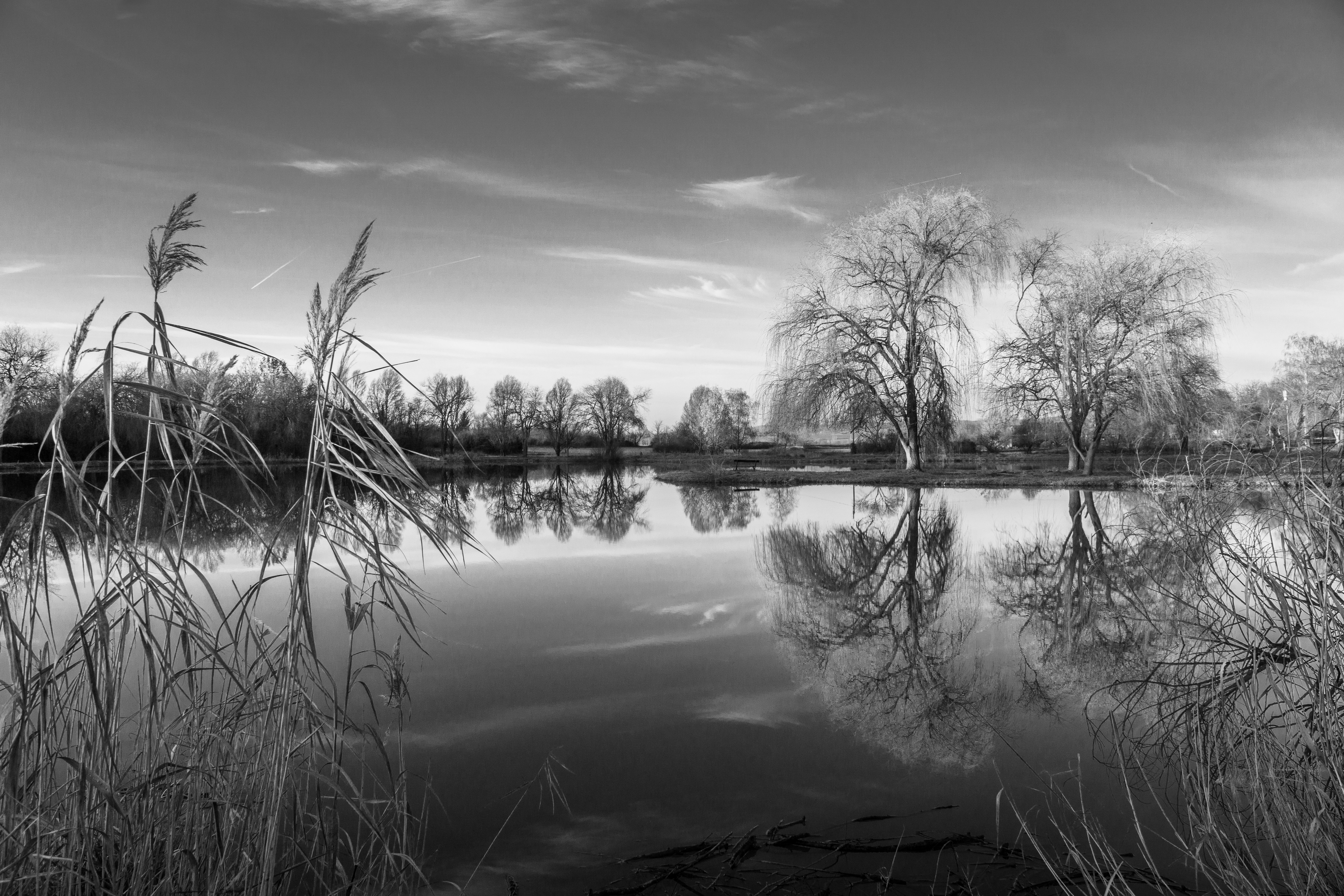 Photo by annaspoljar