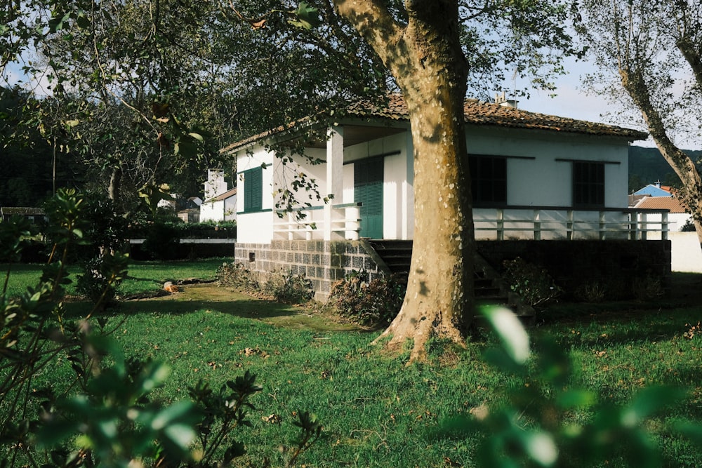 a white house with green shutters and a tree in front of it