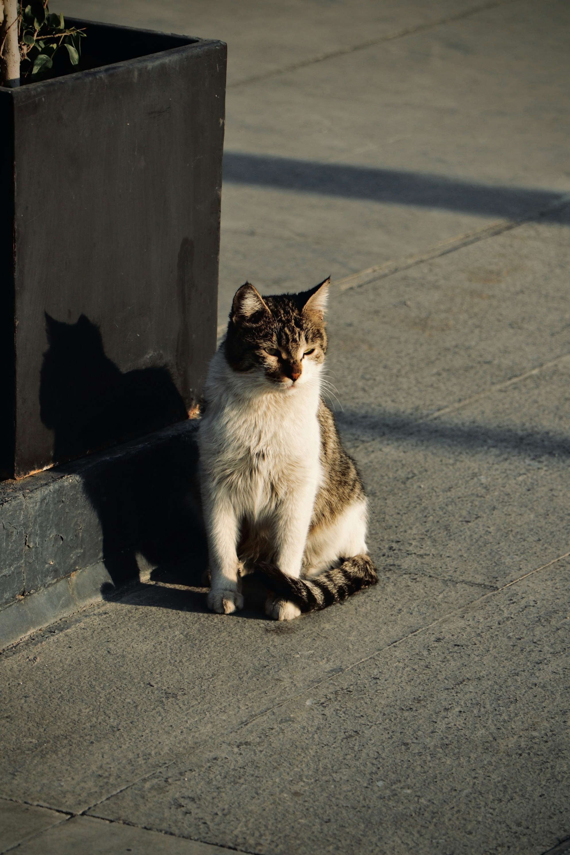 Photo by mhmmd_akbari77