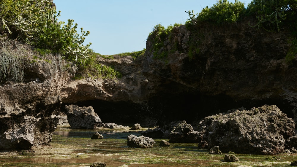 a body of water surrounded by rocks and trees