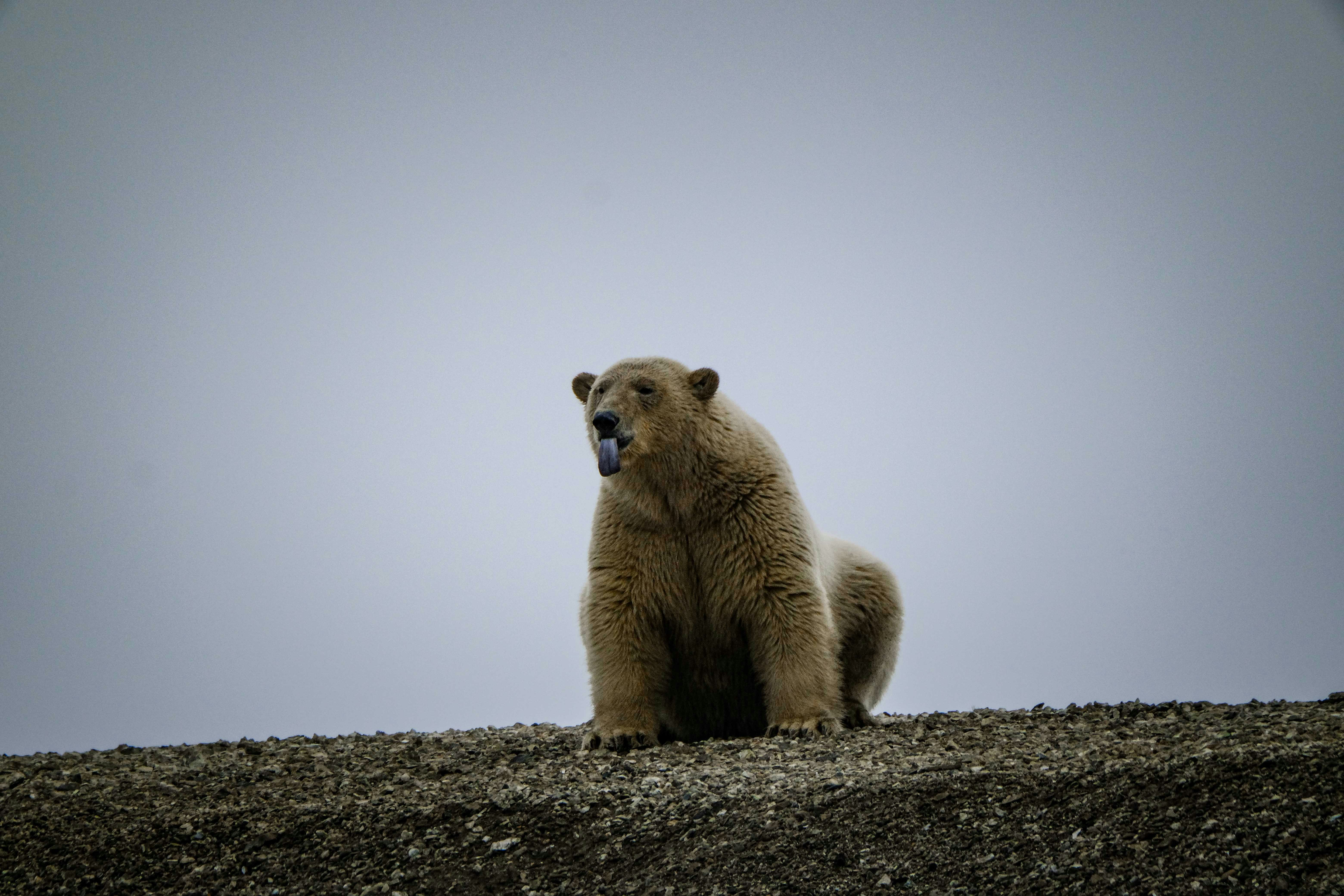 Photo by francesco_ungaro