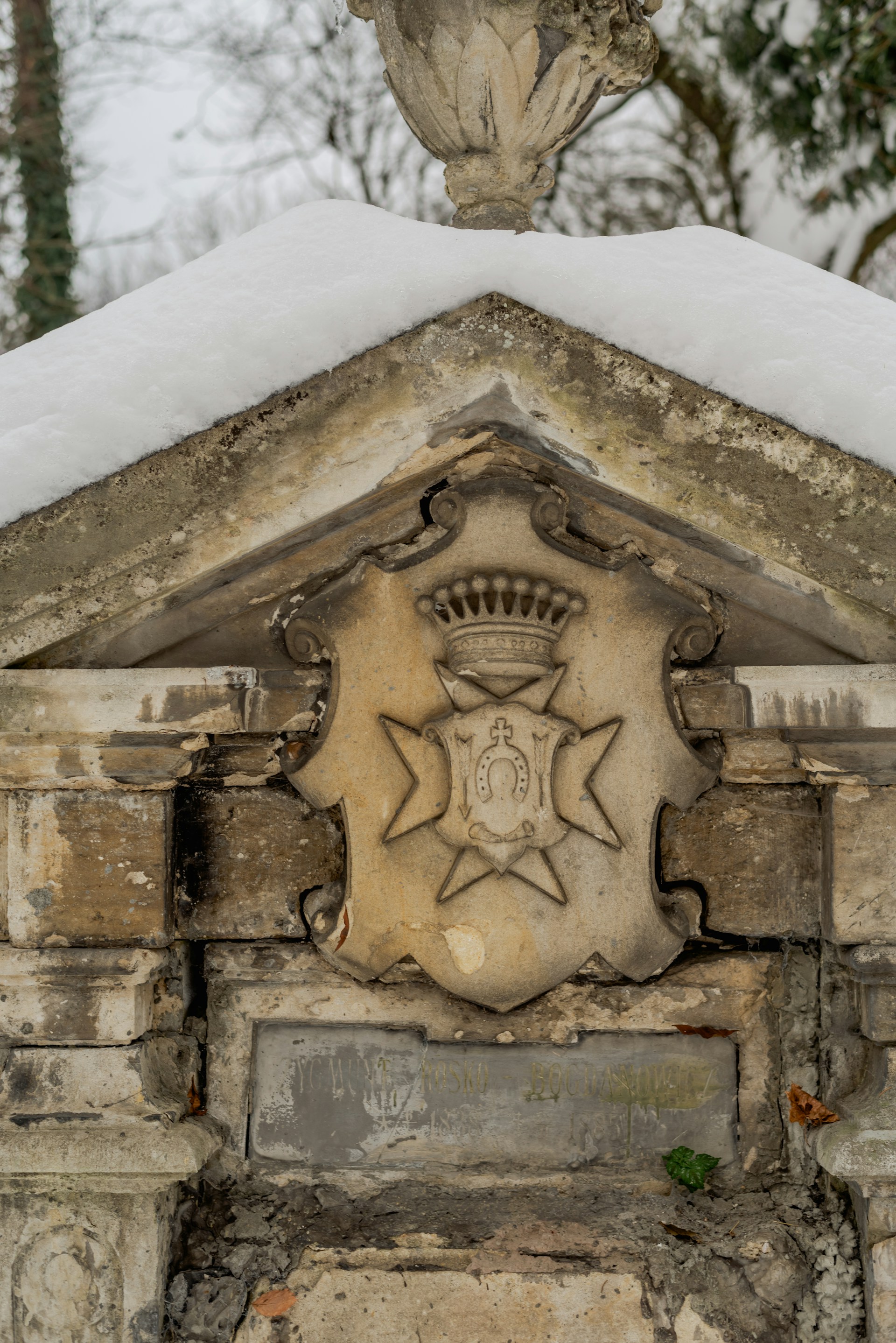 woman wearing yellow long-sleeved dress under white clouds and blue sky during daytime