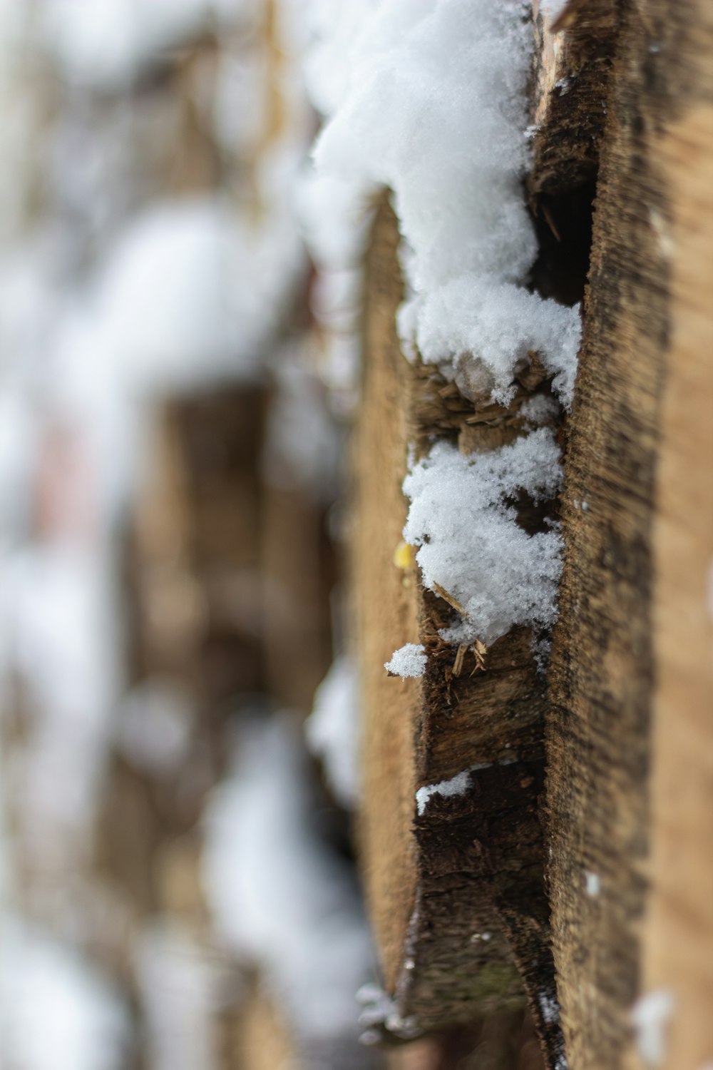 a close up of a piece of wood with snow on it