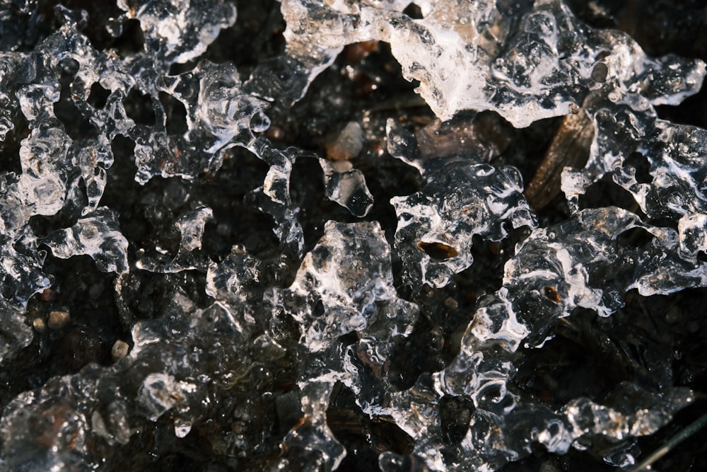 gros plan d’un tas de cristaux de glace