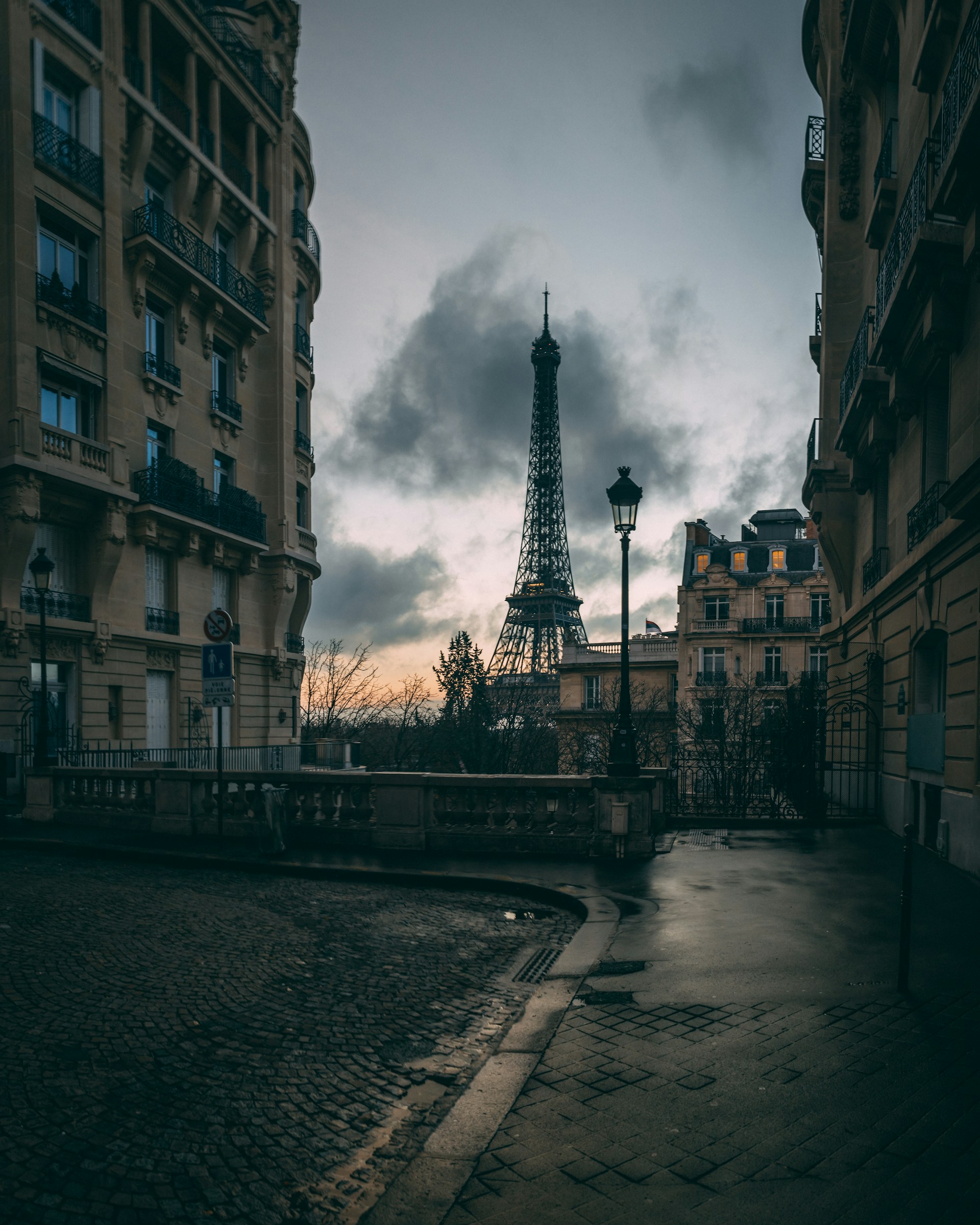 the eiffel tower towering over the city of paris