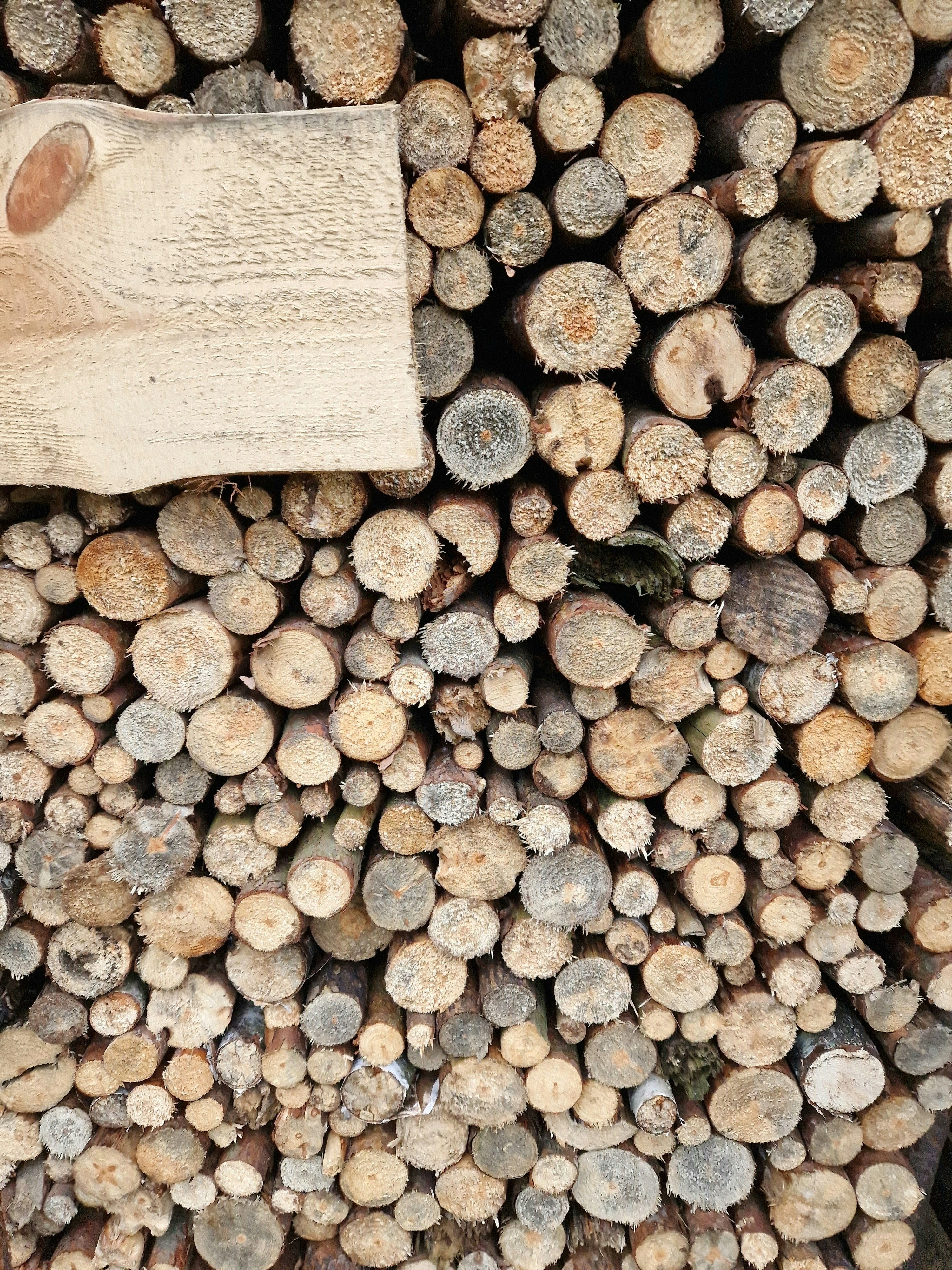 Photo by marocaspery