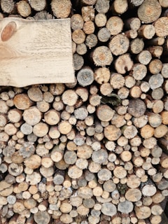 A neatly stacked pile of cut log ends, showing a variety of sizes and textures, with one flat plank placed among them.