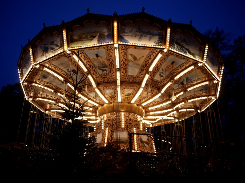 a merry go round lit up at night