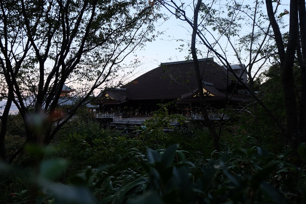 a building in the middle of a forest