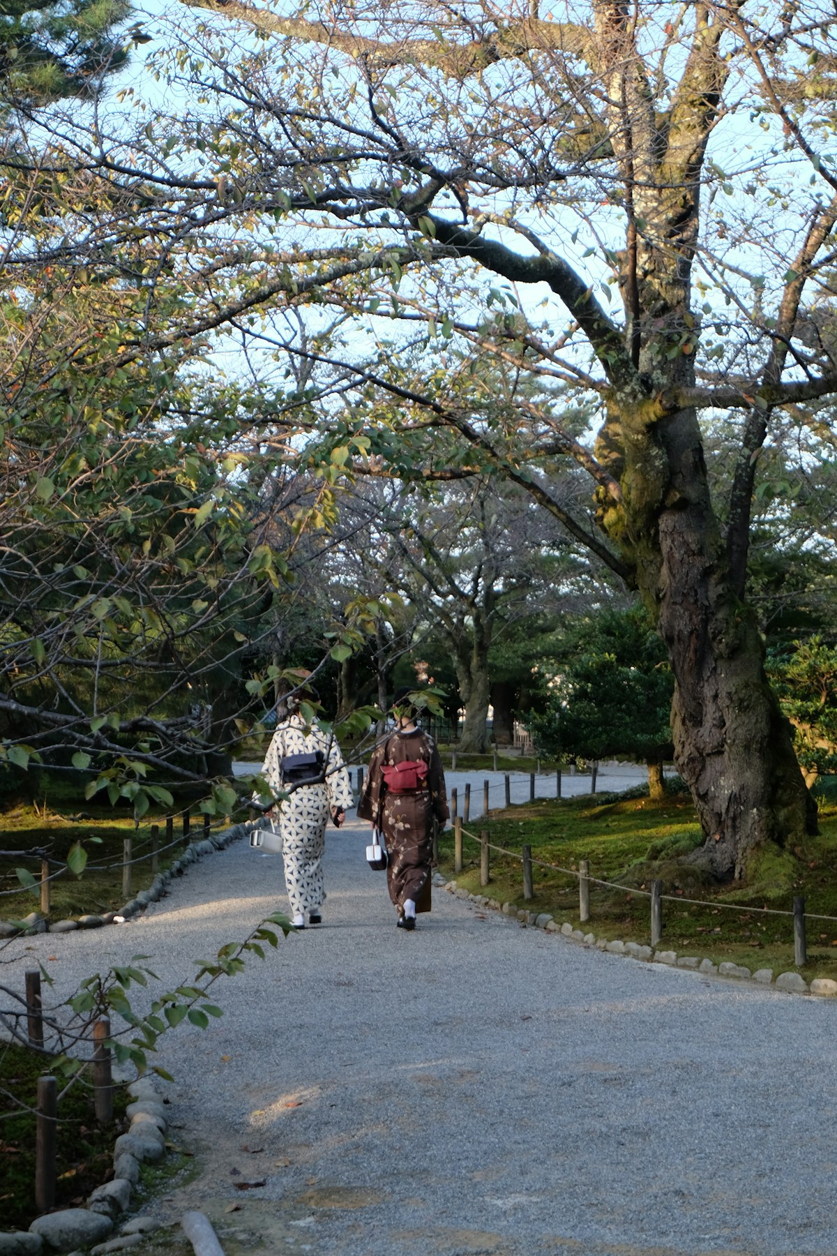 Kanazawa March — couple walking a garden path in Kenroku-en as winter transitions to spring