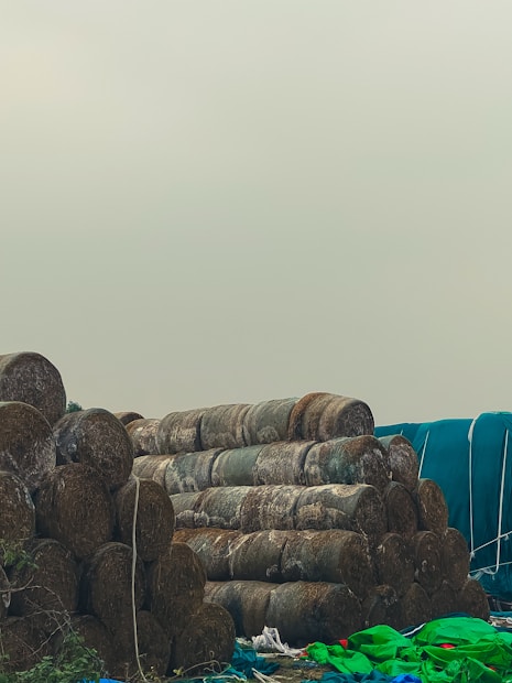 Several stacks of round hay bales are arranged neatly, with a few covered by tarp. The scene conveys a rural or agricultural setting, with some green and blue tarps and plastic covering parts of the bales.