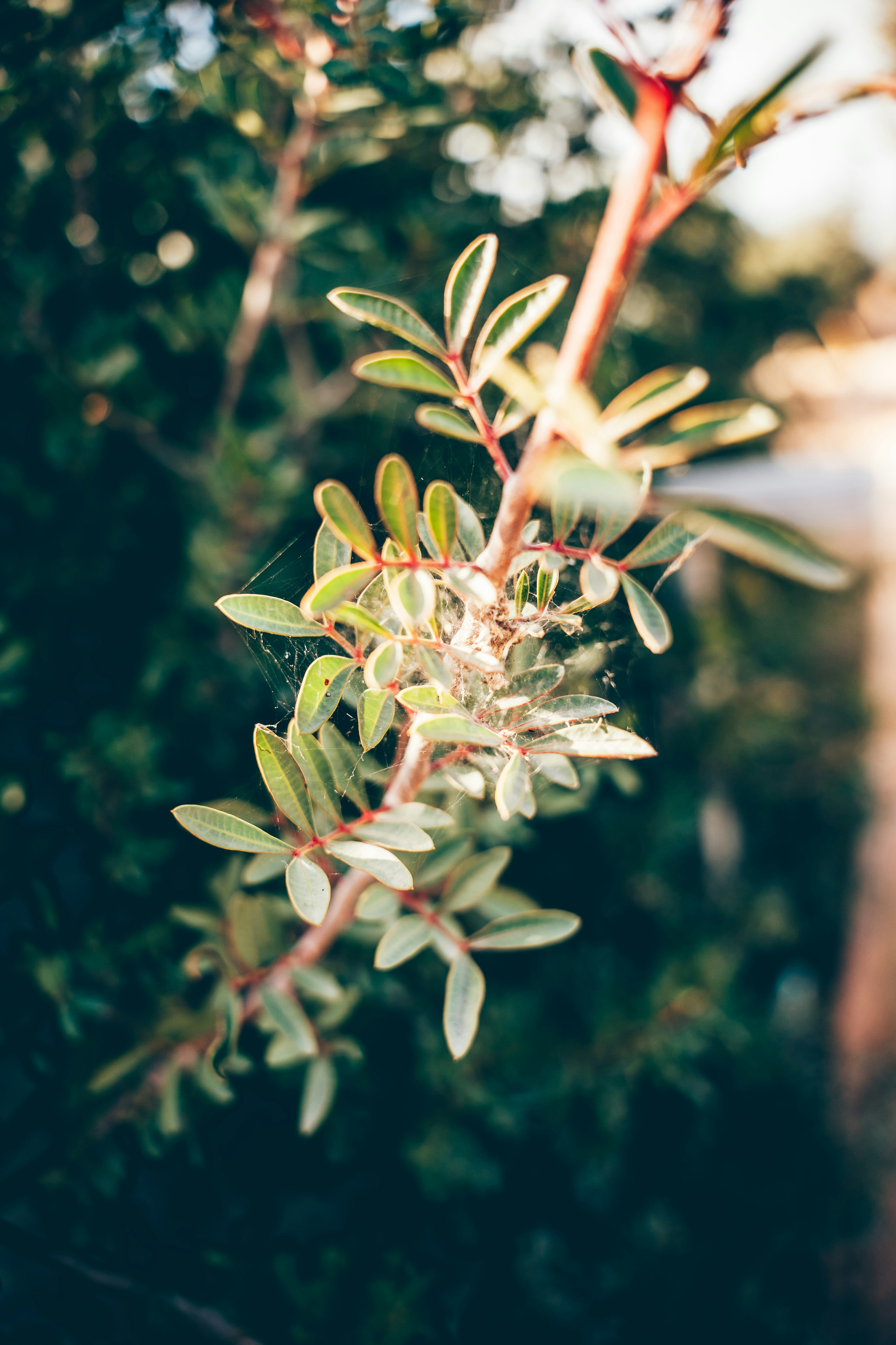 Photo by wojtekpaczes