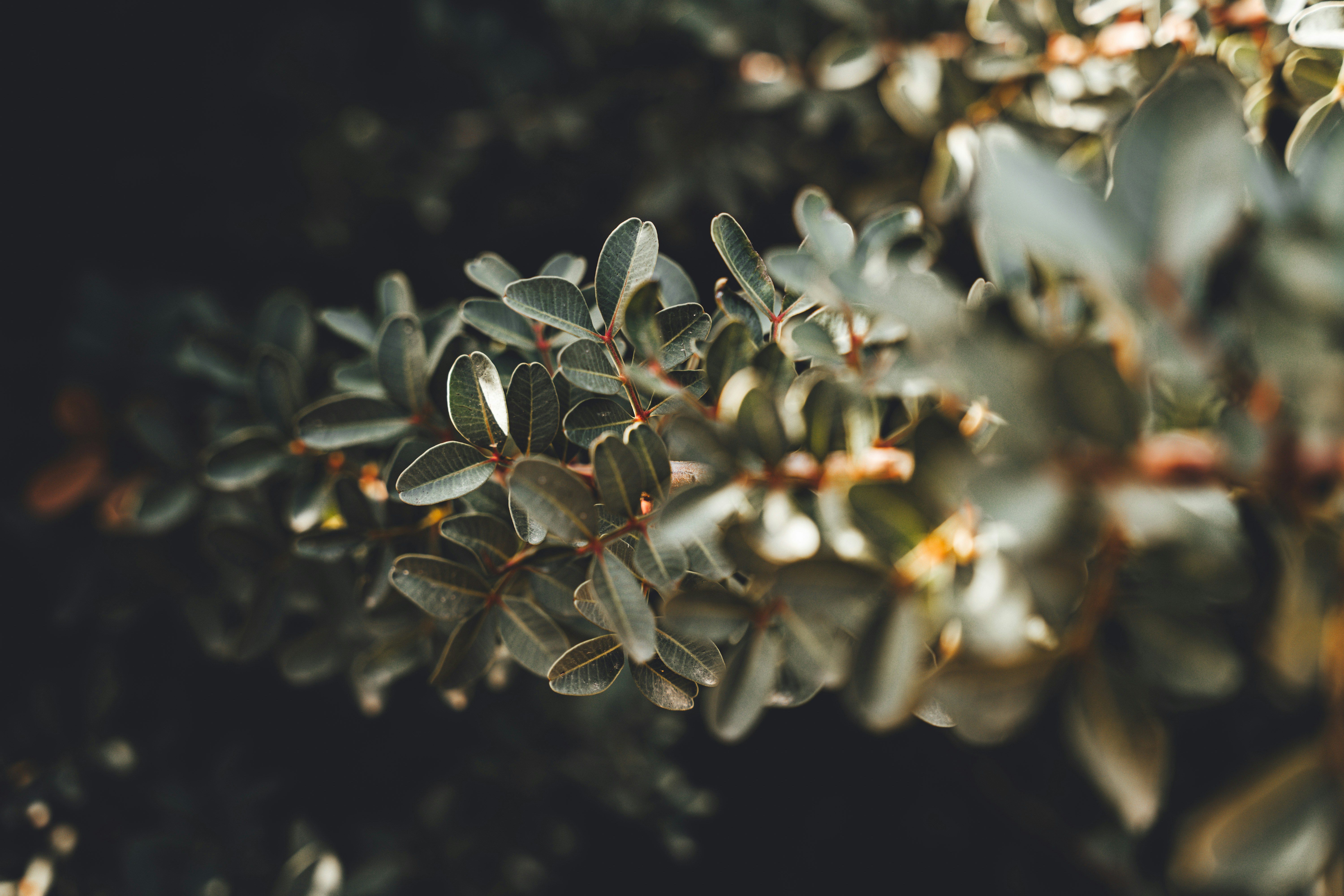 Photo by wojtekpaczes