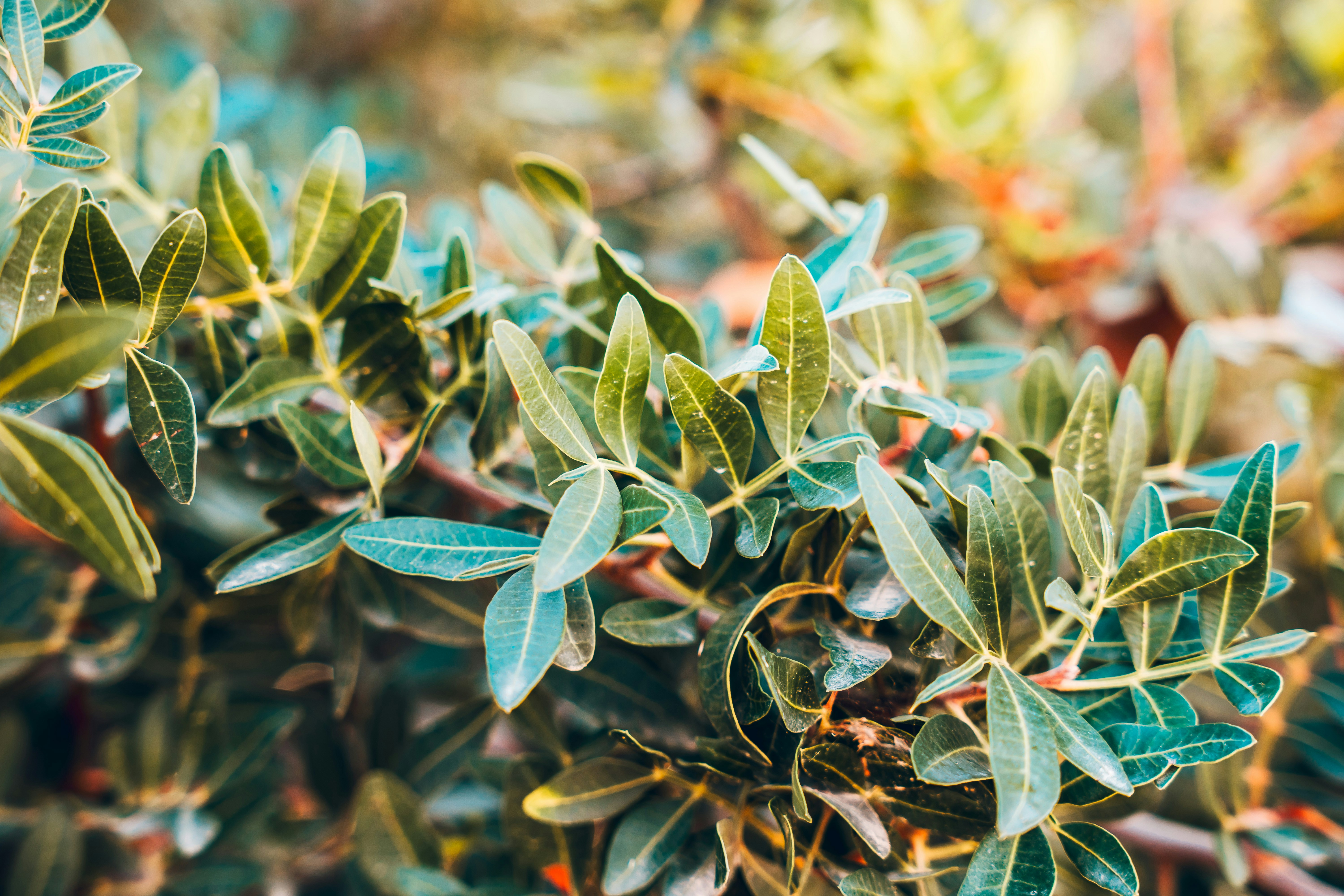 Photo by wojtekpaczes