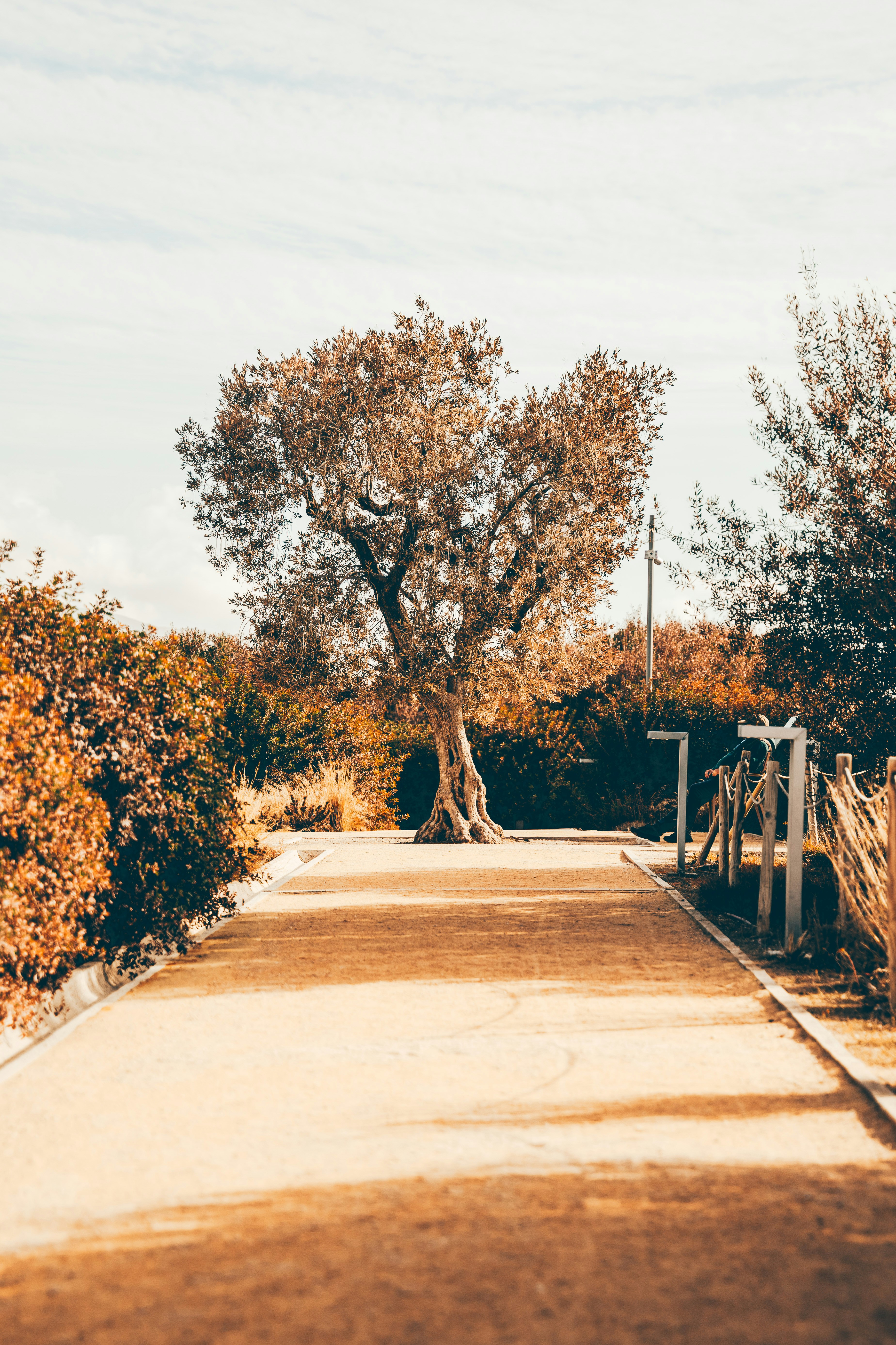 Photo by wojtekpaczes