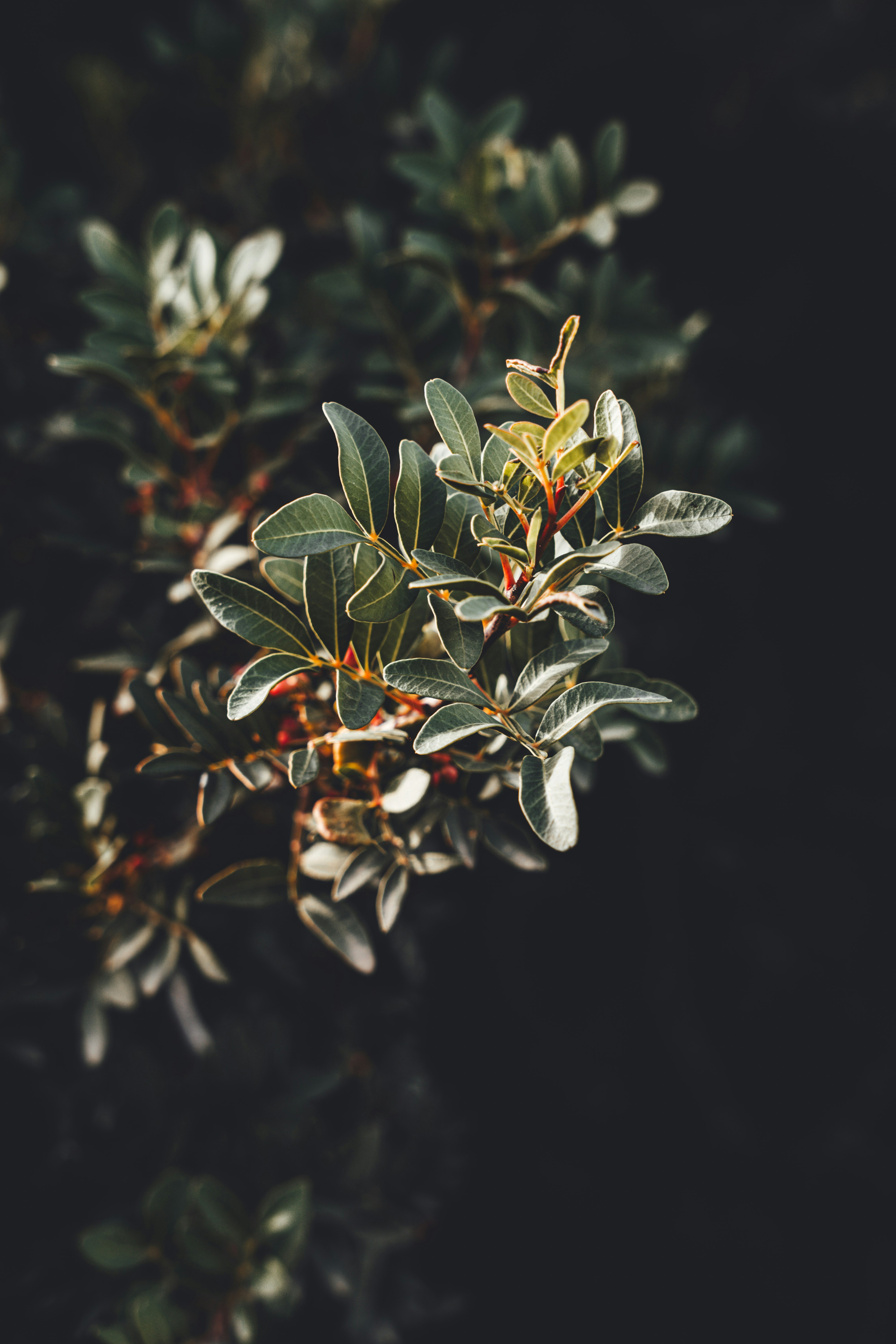 Photo by wojtekpaczes