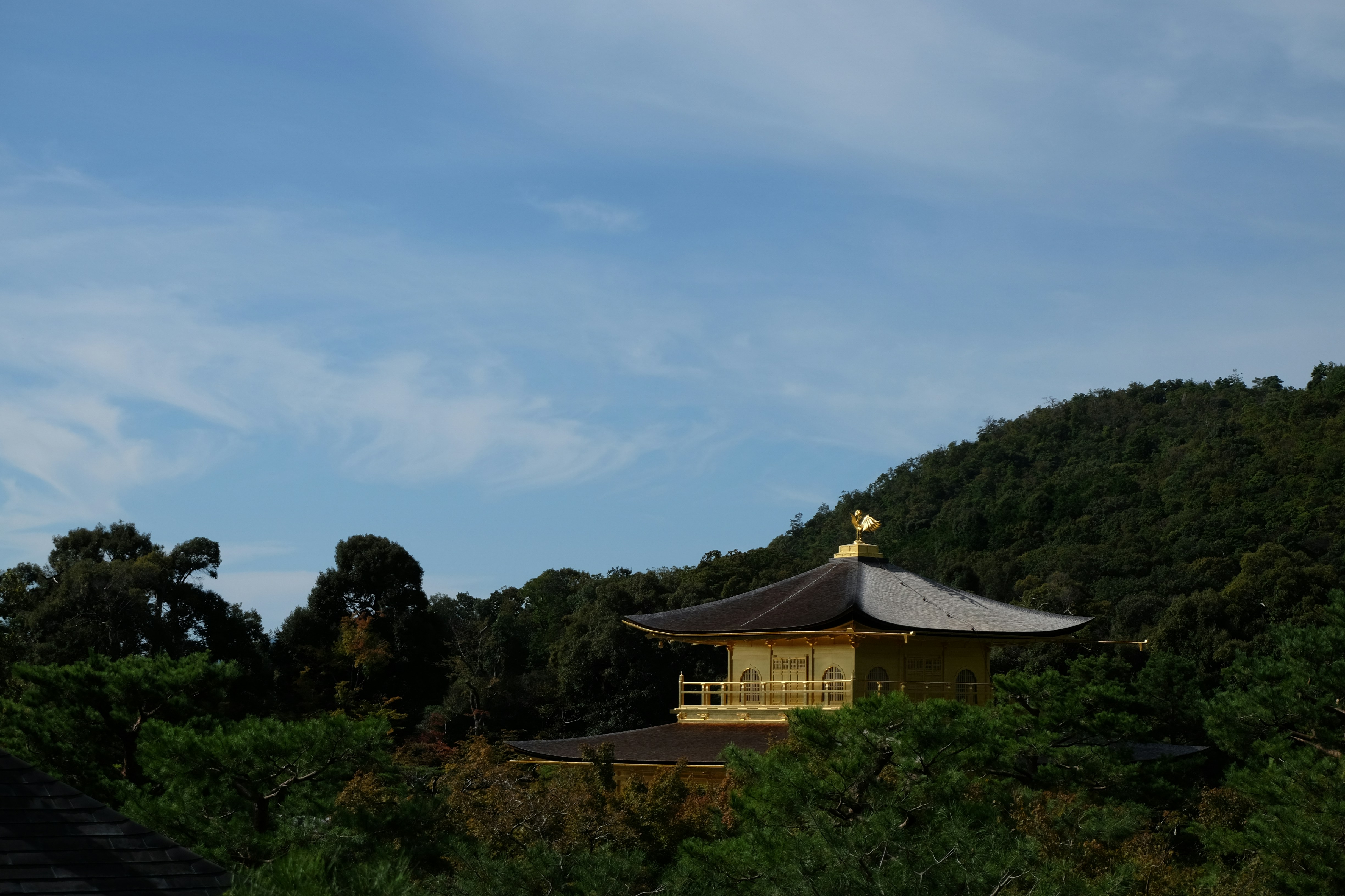 a small building in the middle of a forest