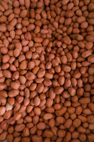 Close-up of fresh groundnuts being processed on a factory production line.