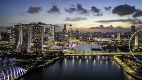 a view of a city at night with a ferris wheel in the foreground