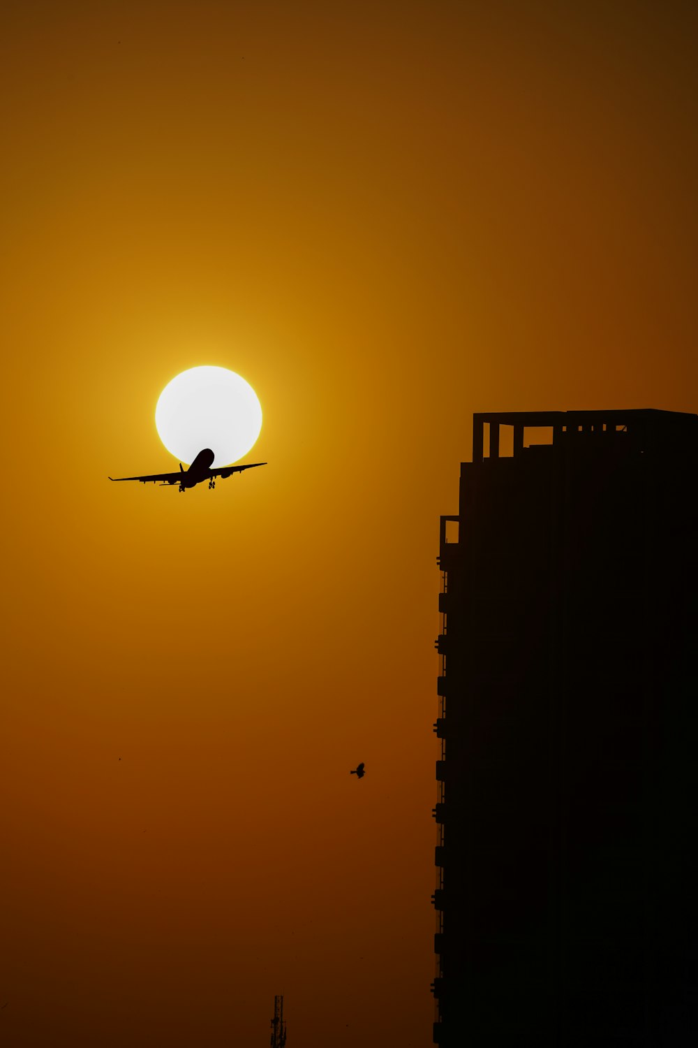 Un avión volando frente al sol poniente