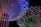 A vibrant display of multicolored LED lights arranged in radiating patterns forming intricate designs against a black background. The lights transition through a spectrum of colors including red, blue, green, and purple, creating a mesmerizing visual effect.