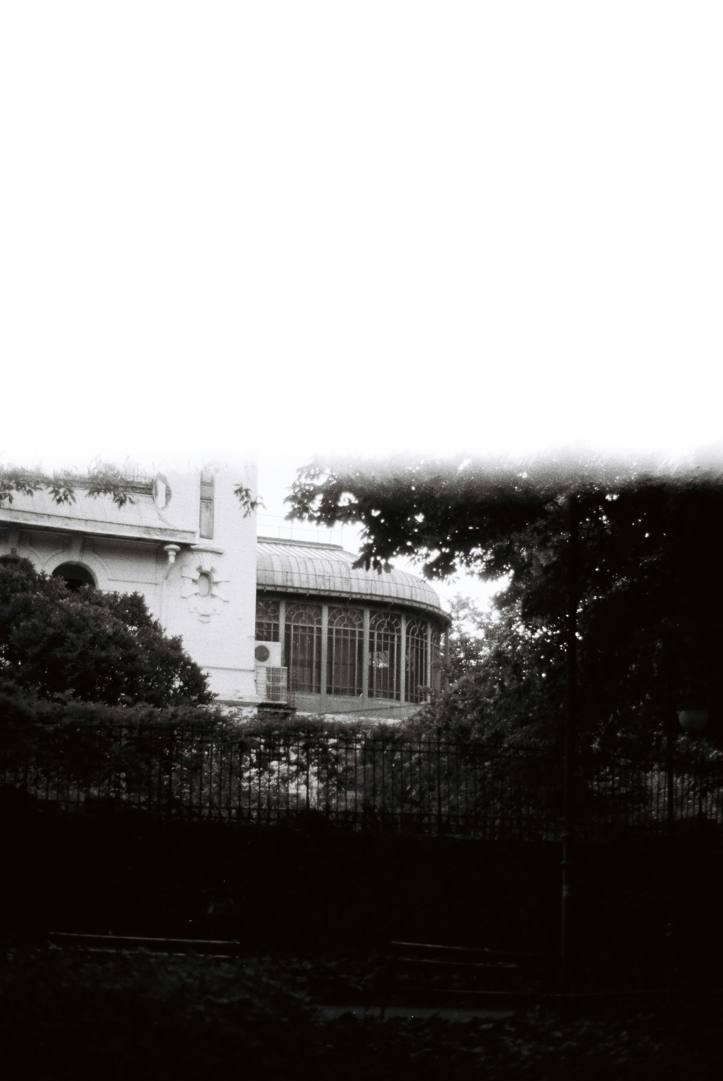 Photo by annemarria__