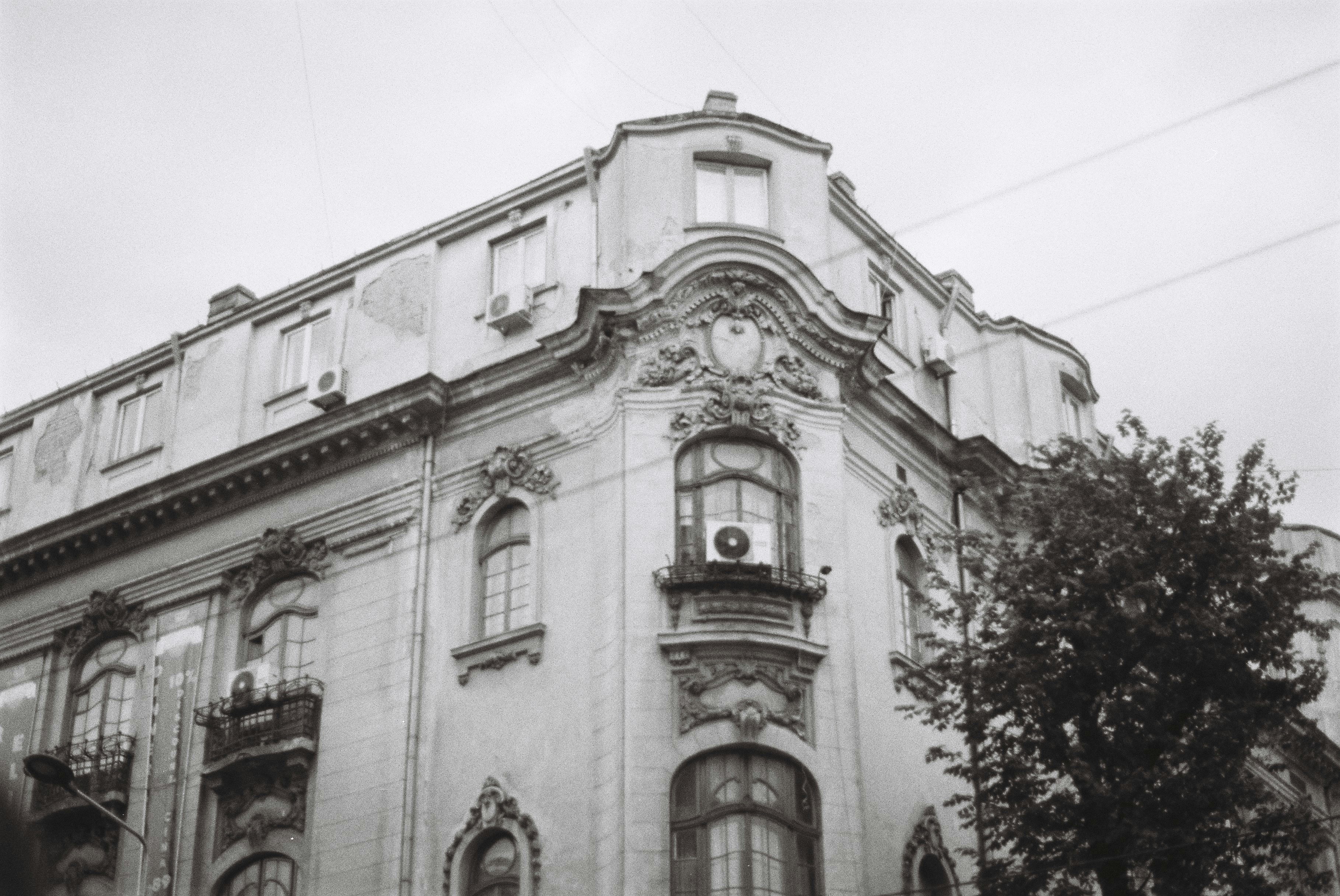 Photo by annemarria__