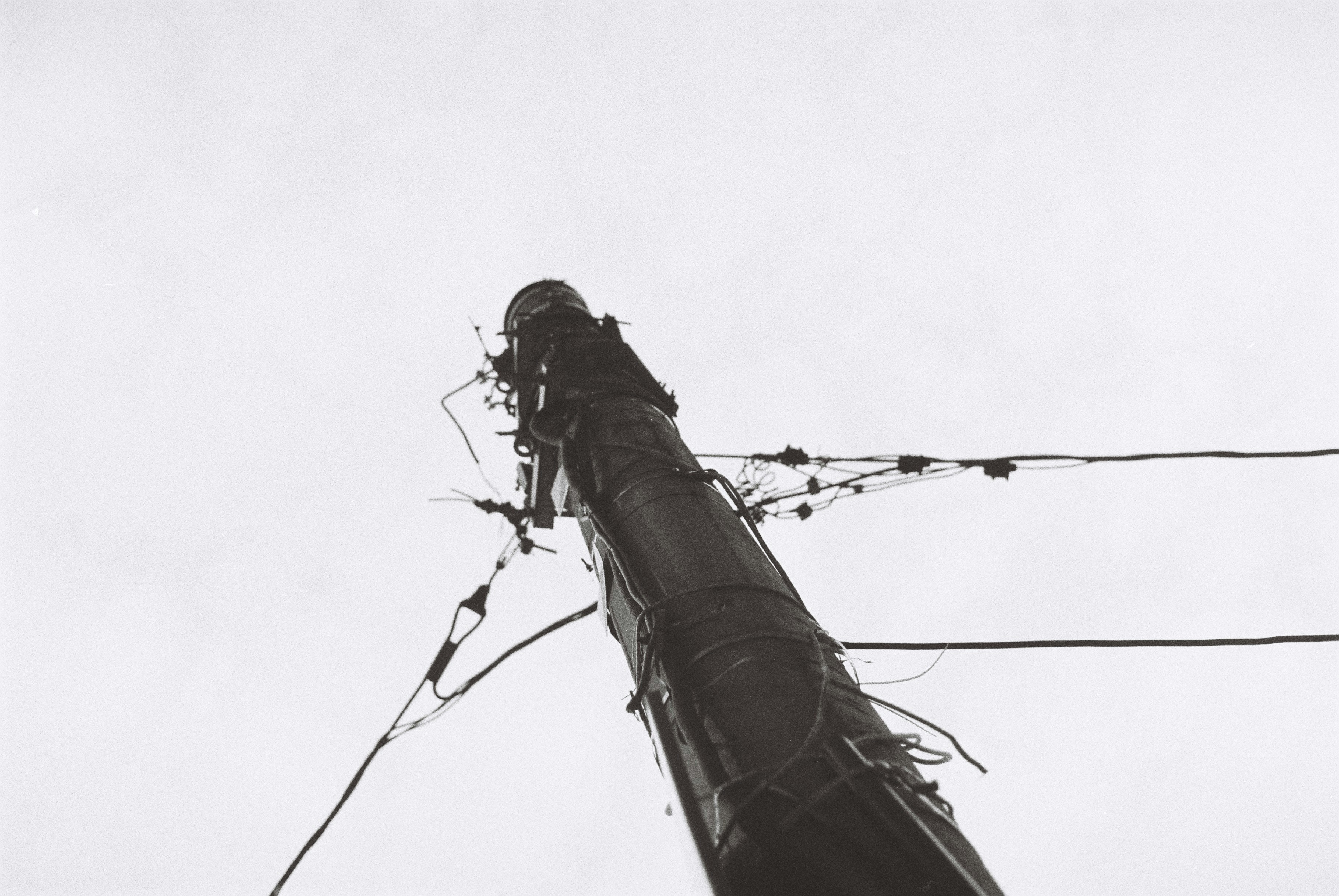 Photo by annemarria__