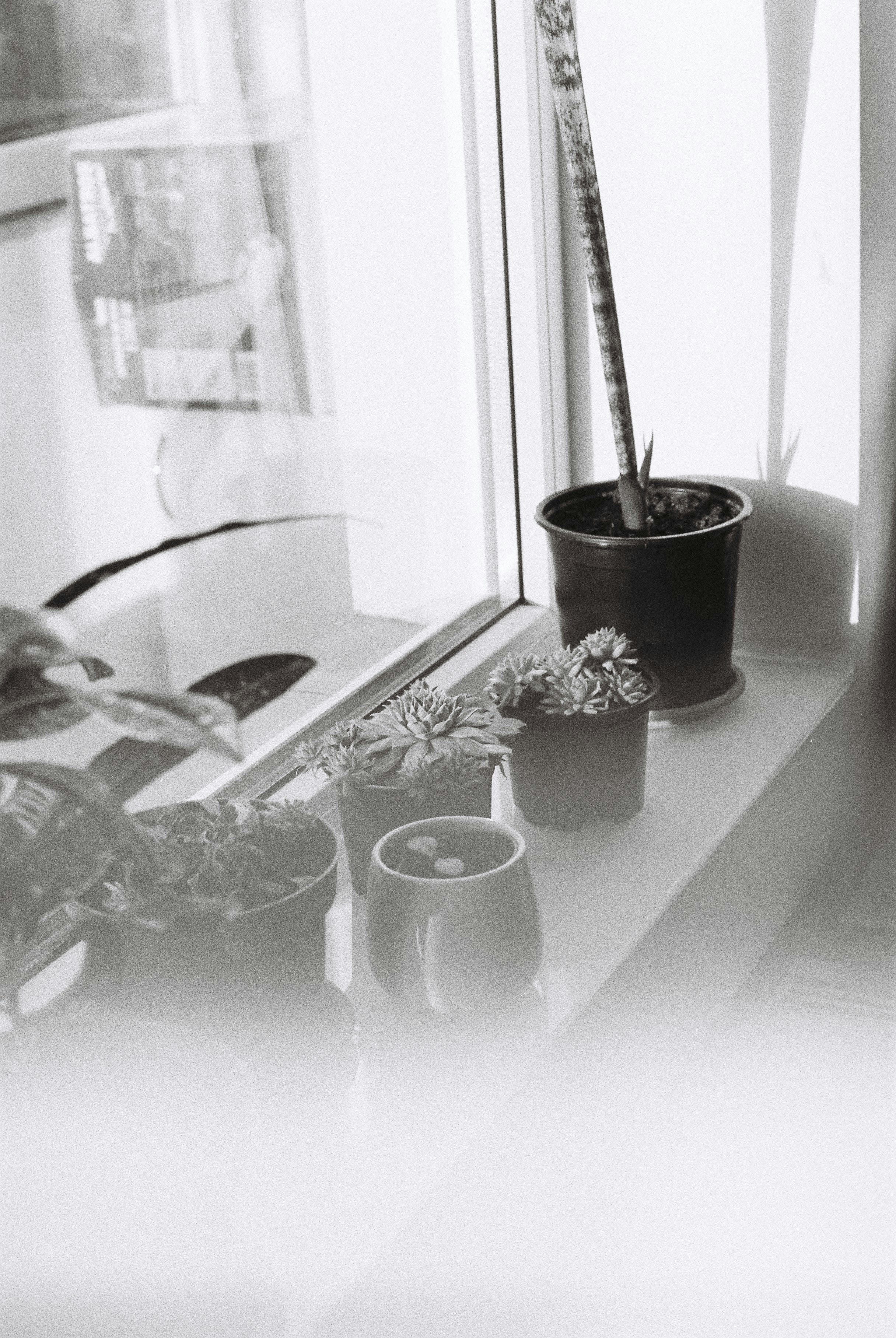 Photo by annemarria__