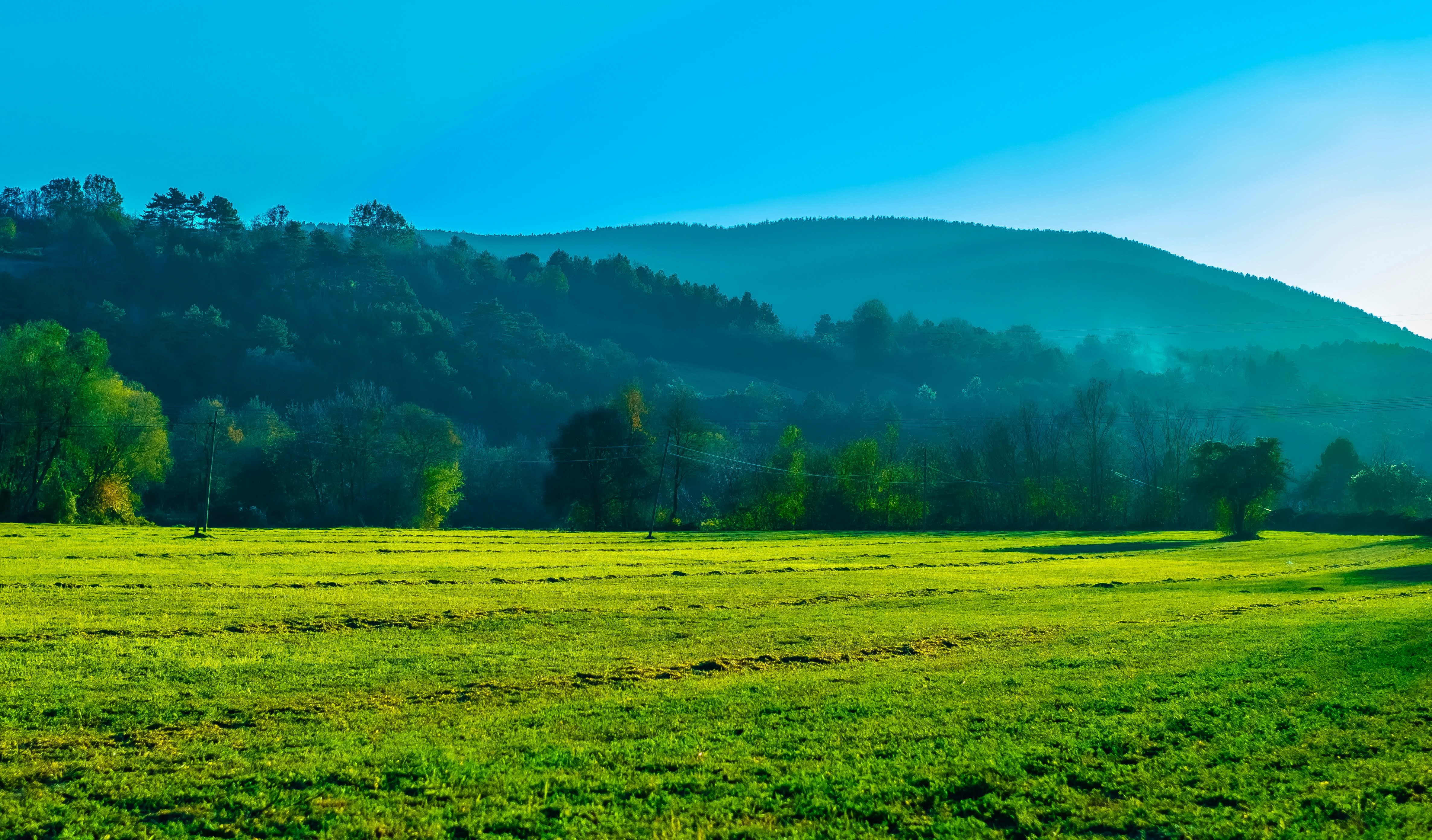 Scenic crop field with mountain backdrop