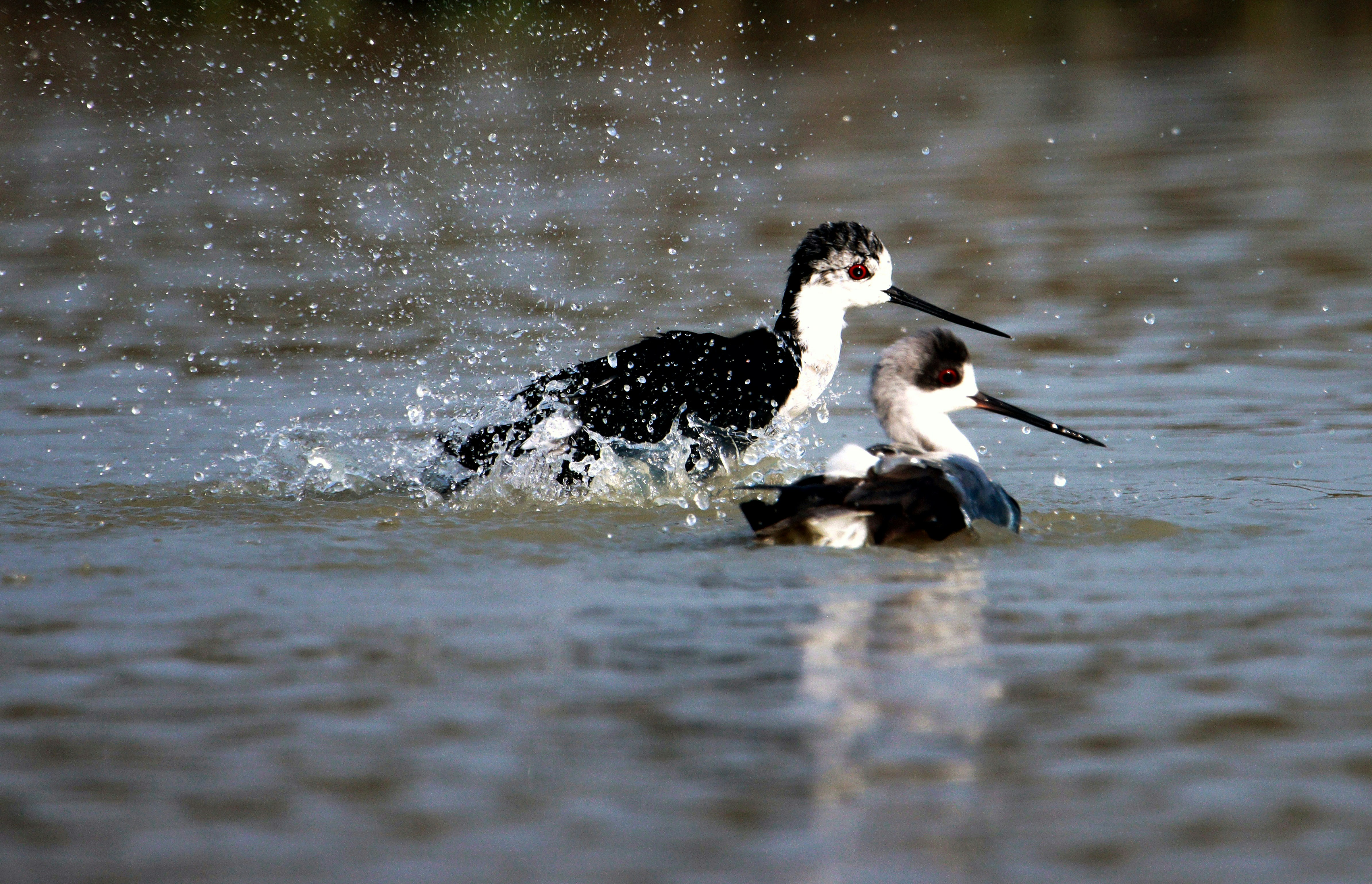 Photo by mhphotography13