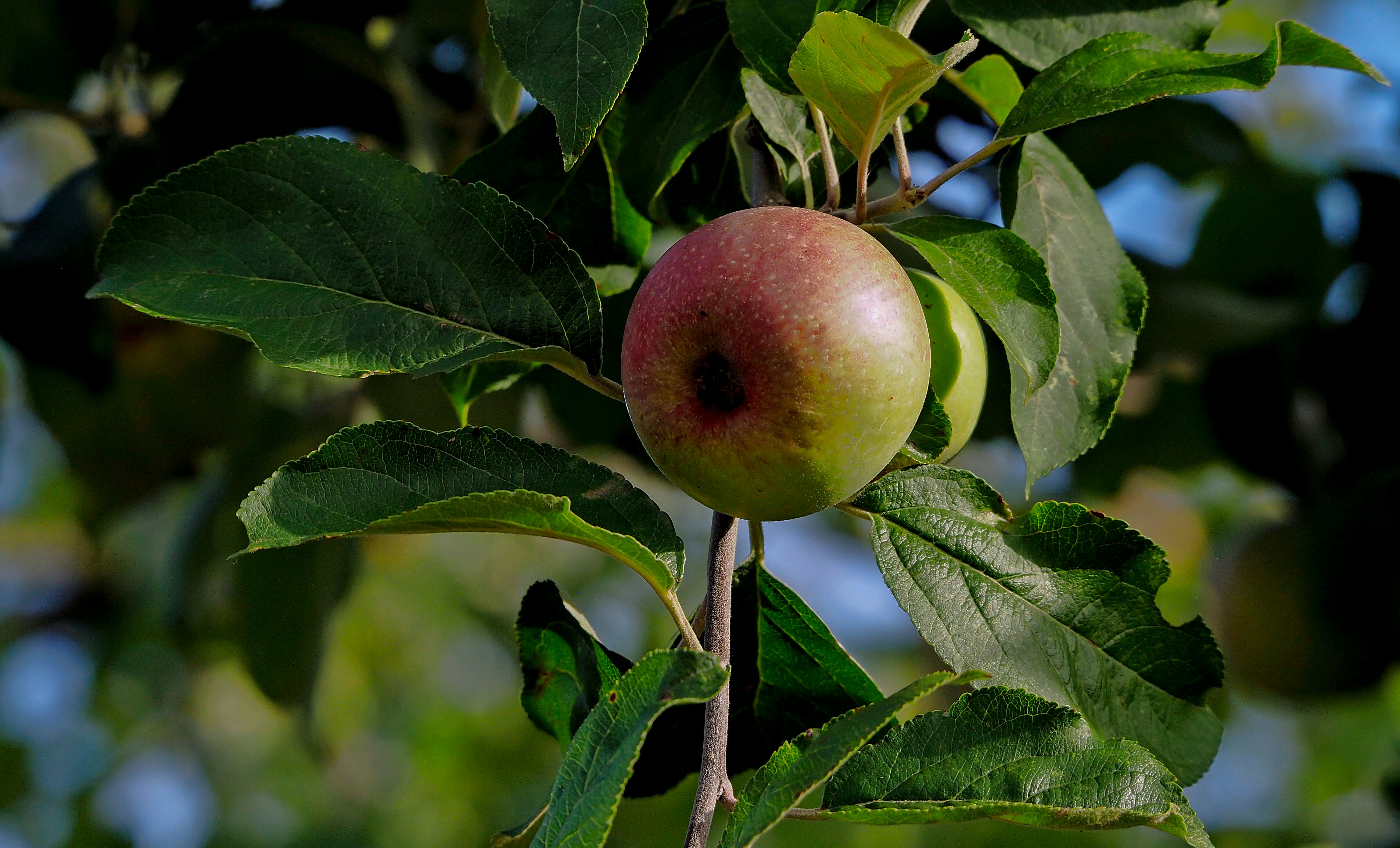 Photo by mhphotography13