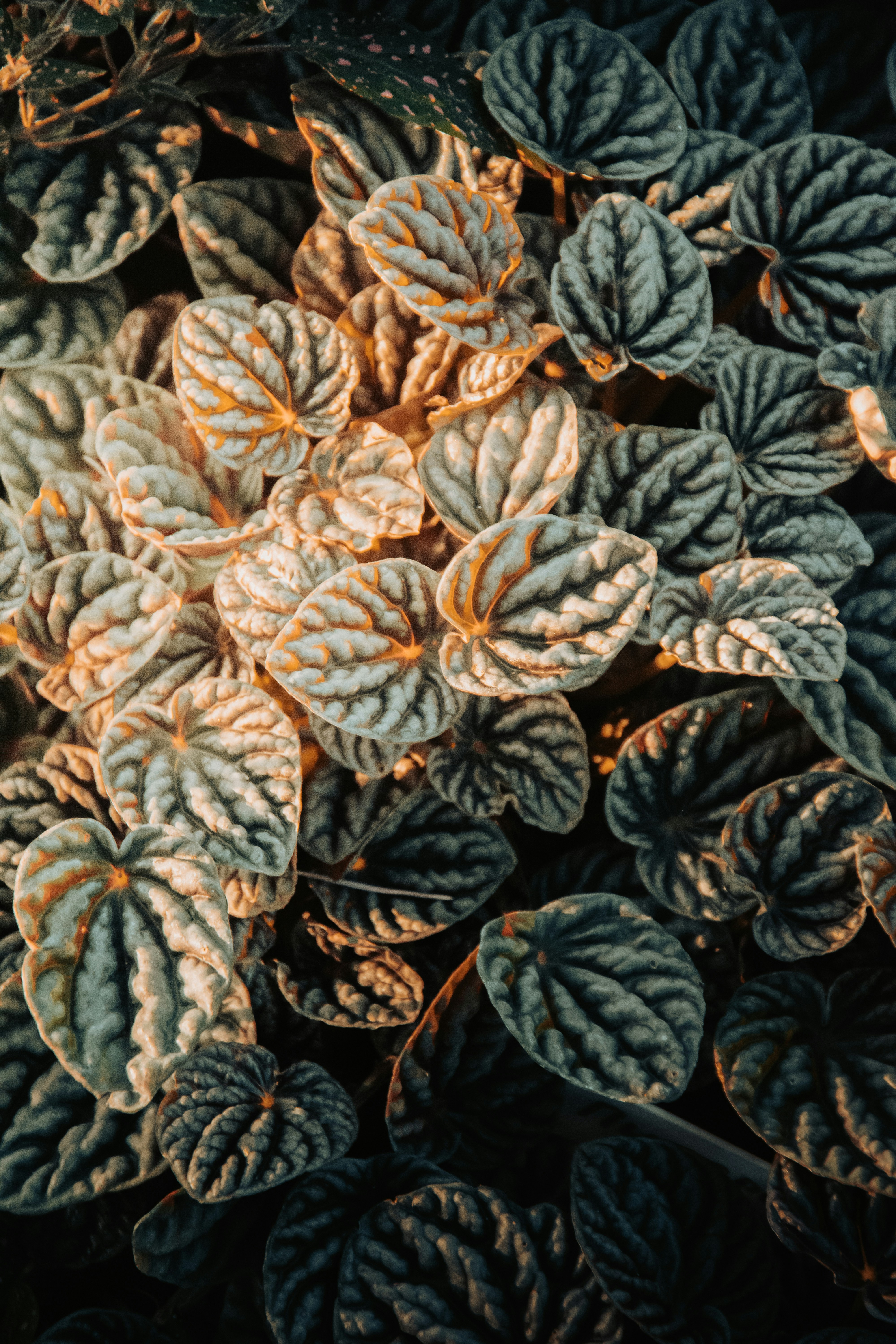 Photo by impermanent