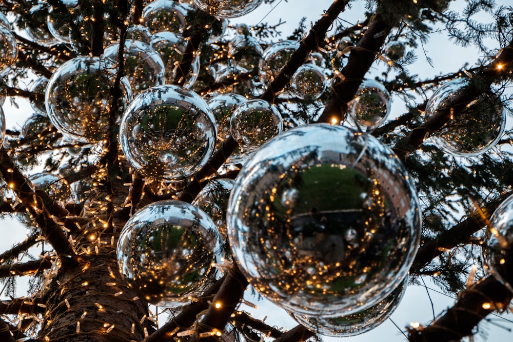 un montón de burbujas colgando de un árbol