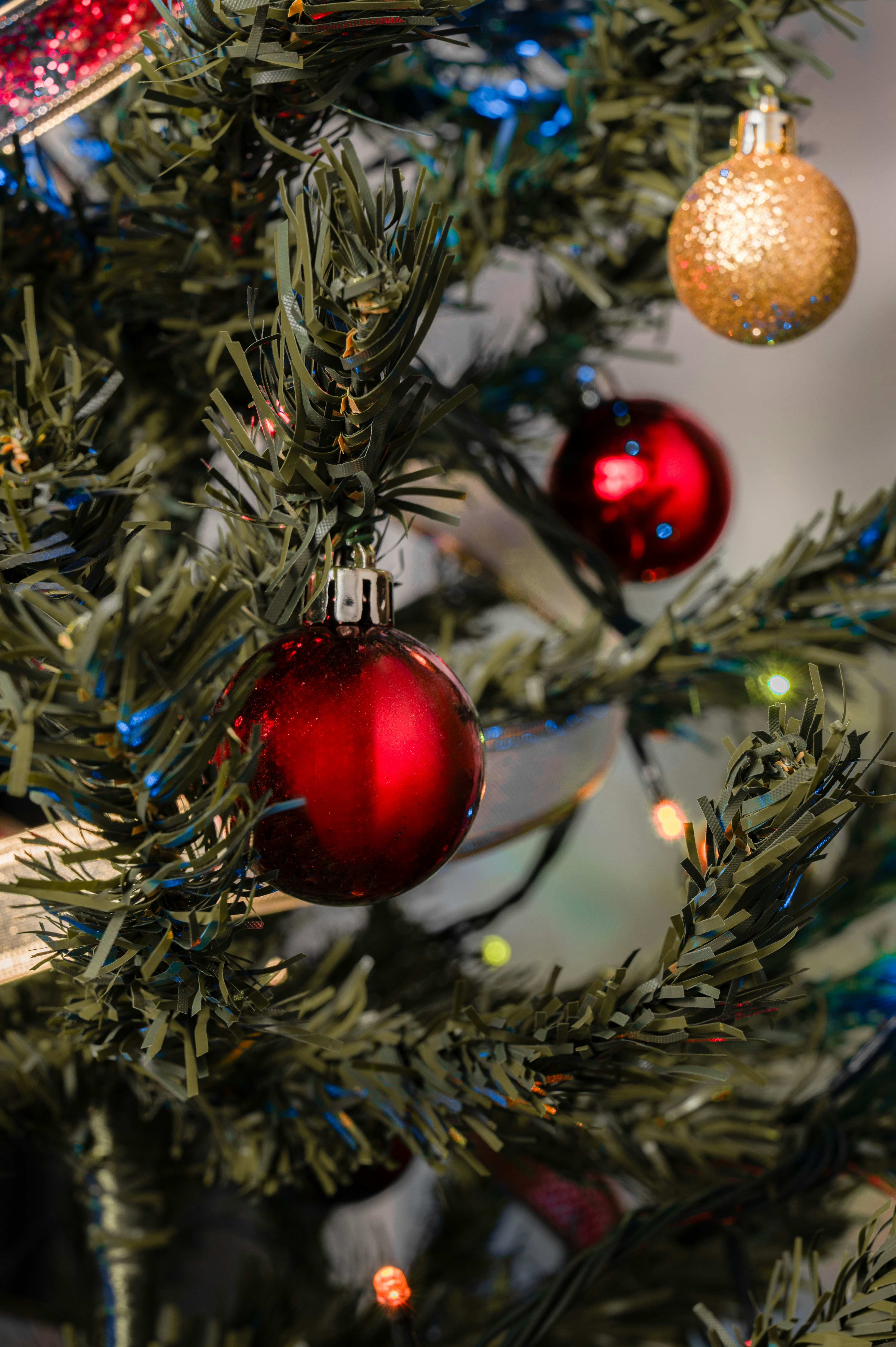 Photo by nick_tiam_photography