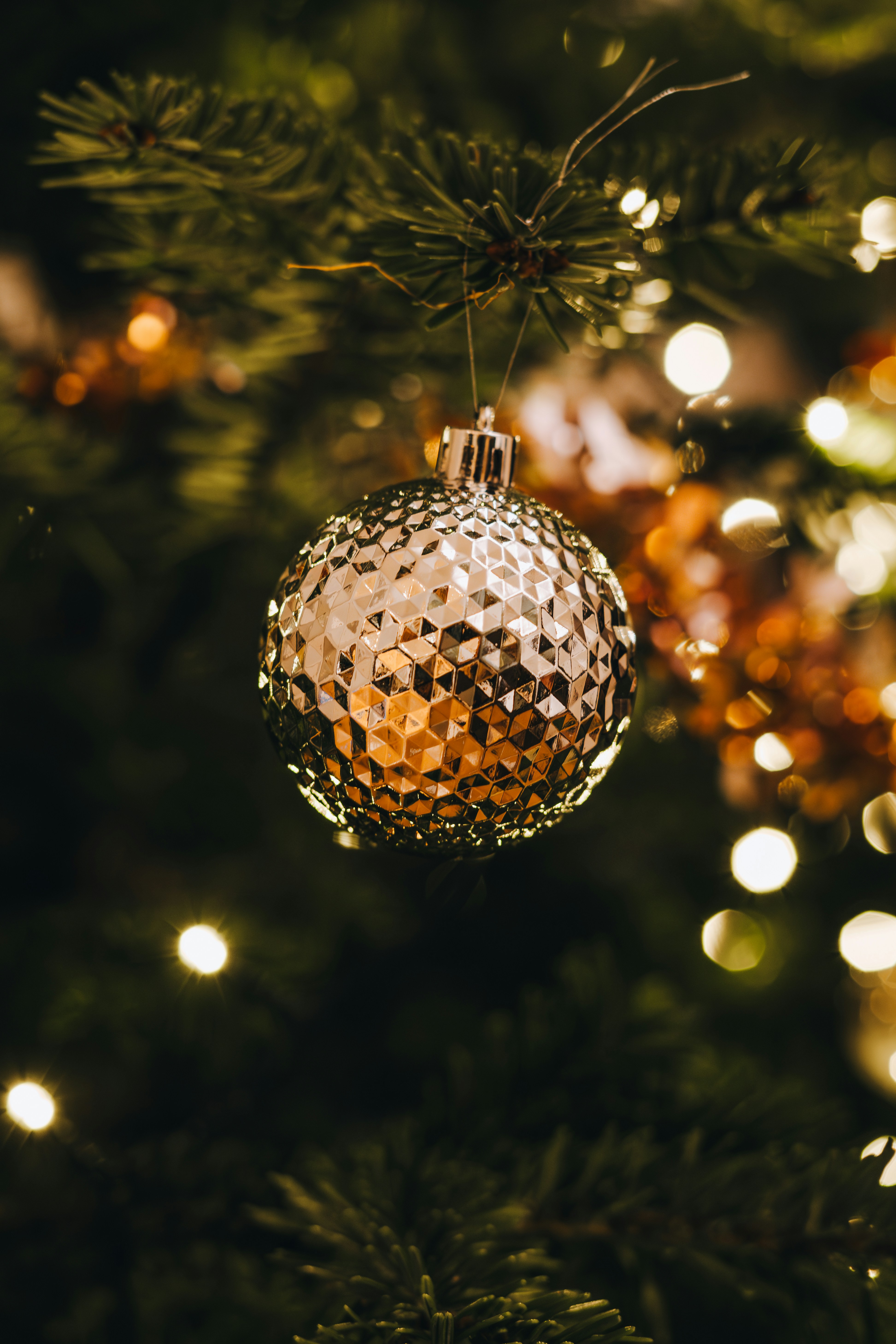 Photo by dreyerchris