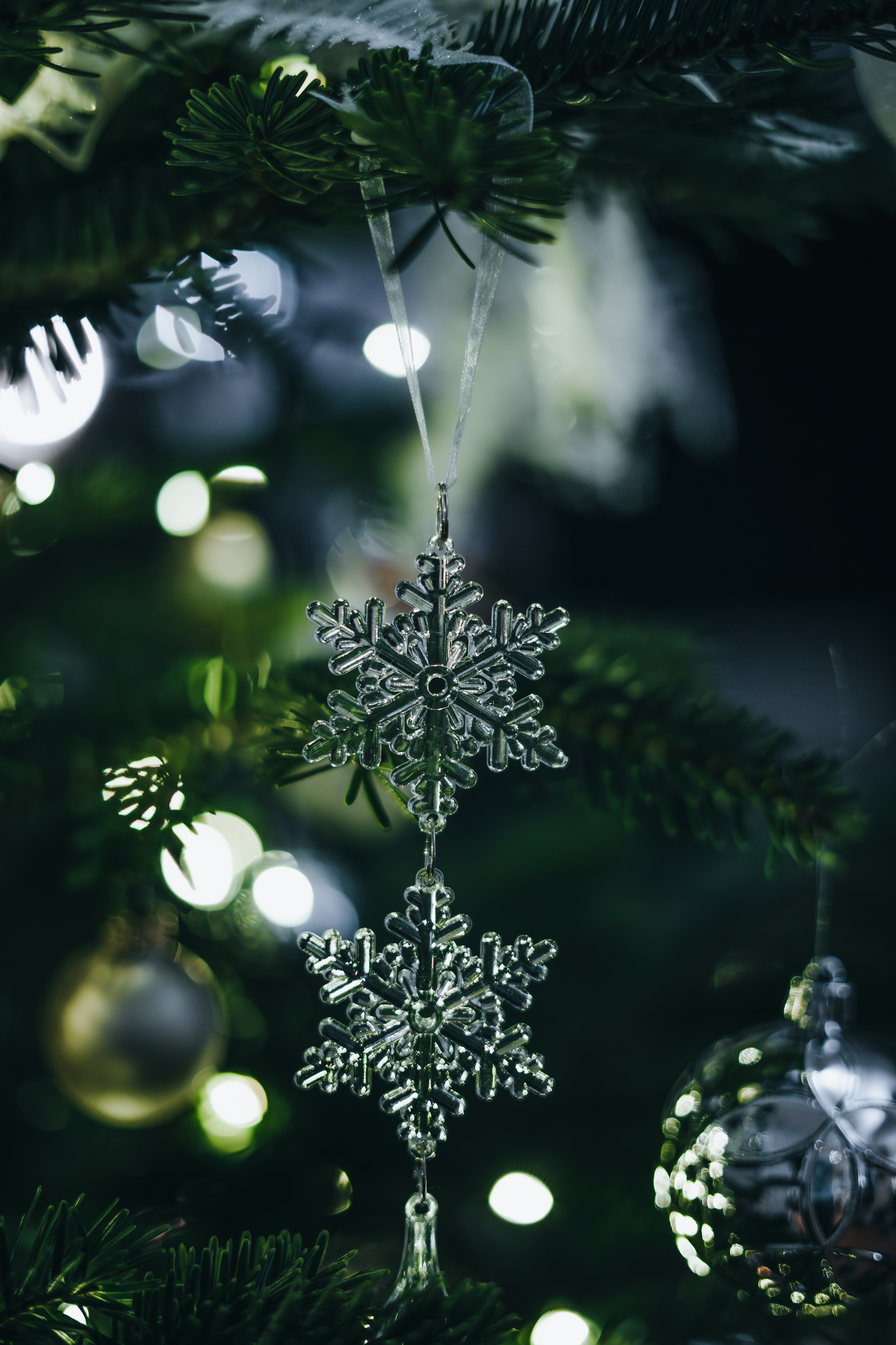 Photo by dreyerchris