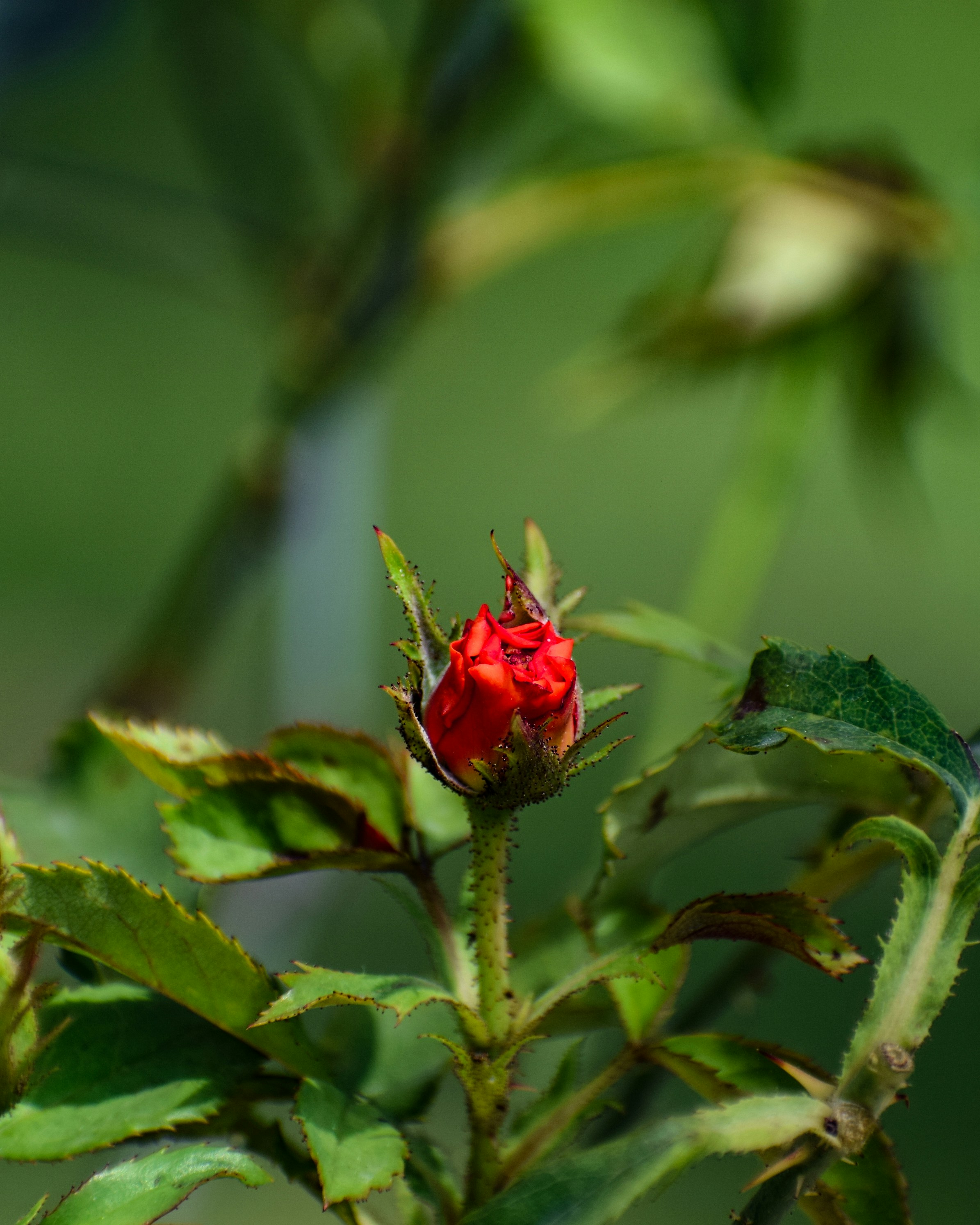 Photo by maheerakulsoom